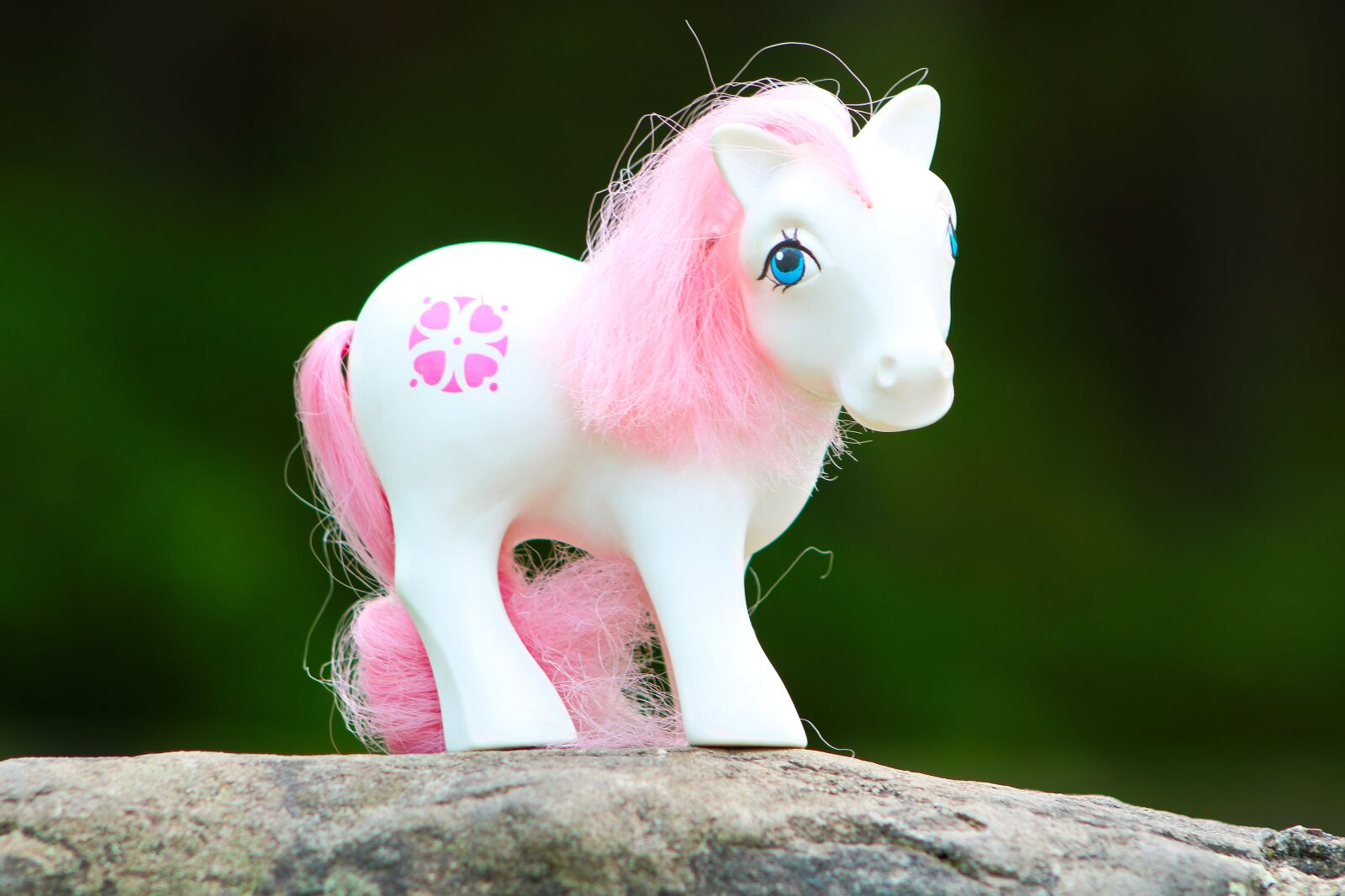 Canon EOS 2000D (EOS Rebel T7 / EOS Kiss X90 / EOS 1500D) sample photo. My little pony, toys photography