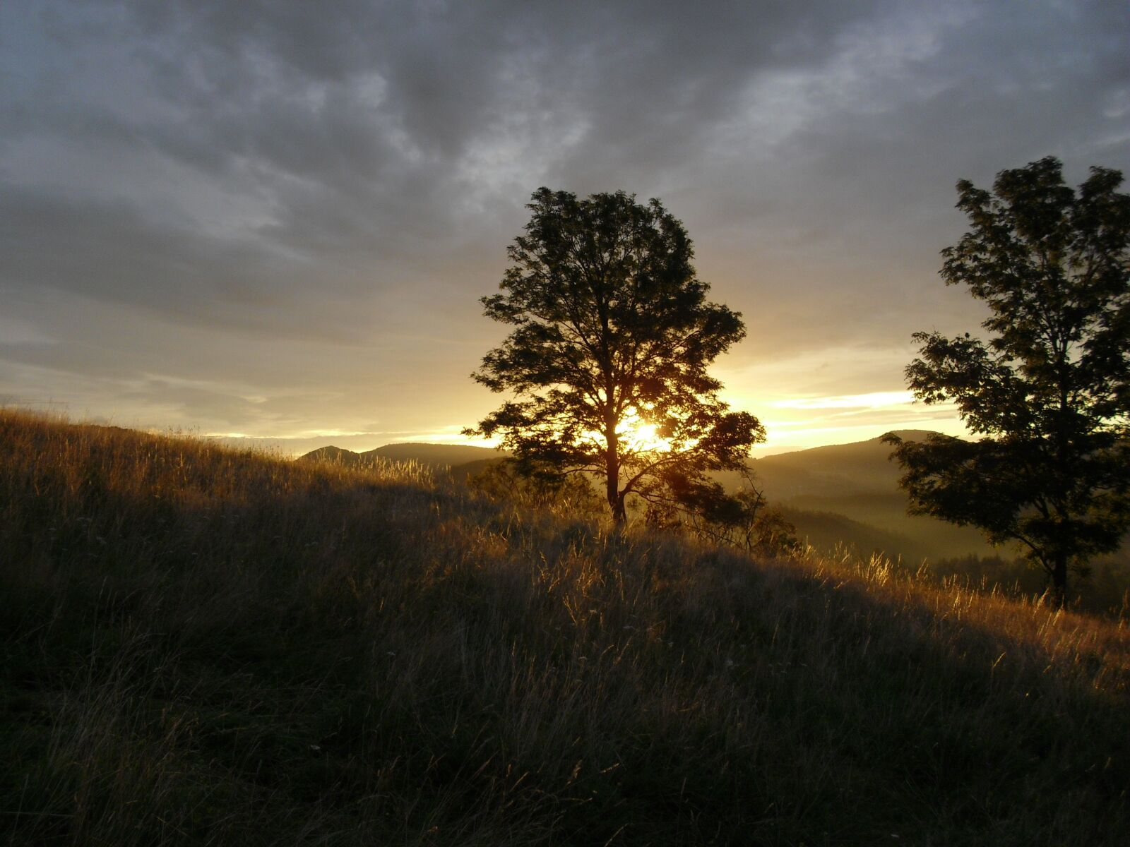 CASIO EX-Z29 sample photo. Nature, sky, landscape photography