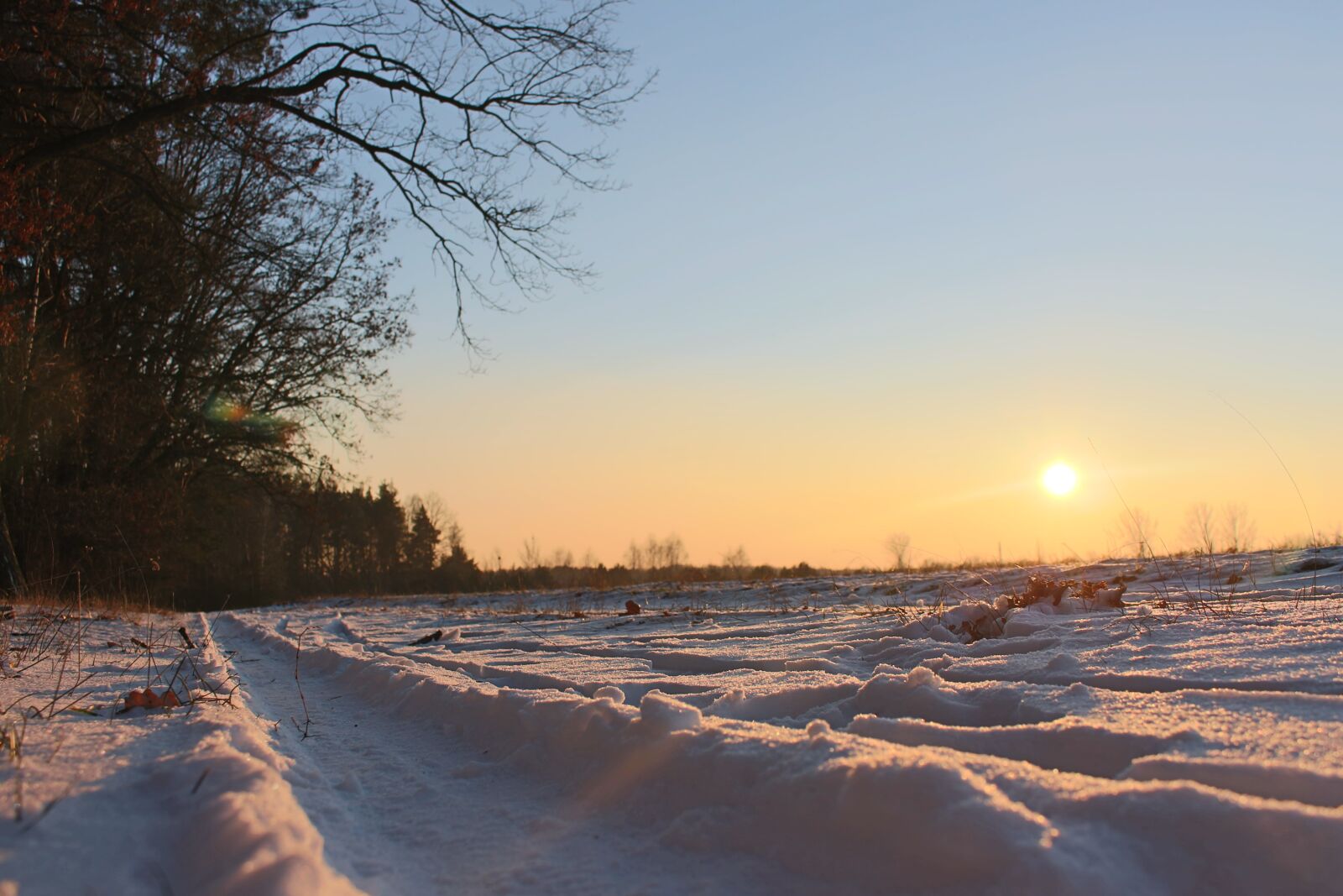 Canon EOS 700D (EOS Rebel T5i / EOS Kiss X7i) sample photo. Winter, forest, the sun photography