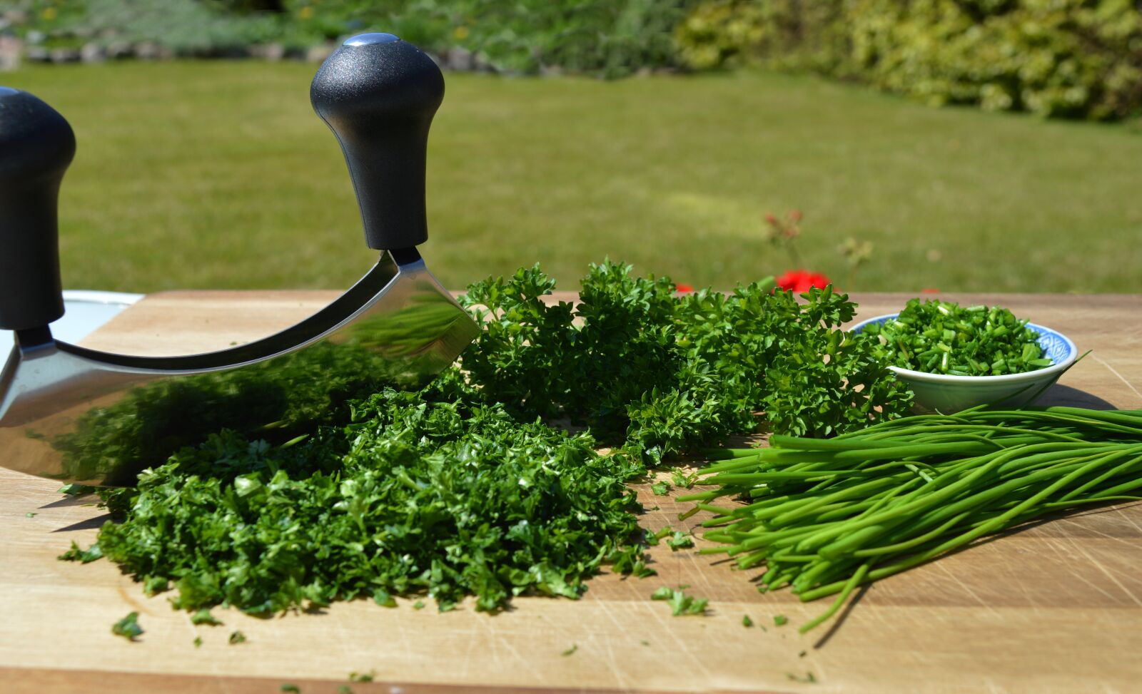 Nikon D3200 sample photo. Herbs, cutting board, chopping photography