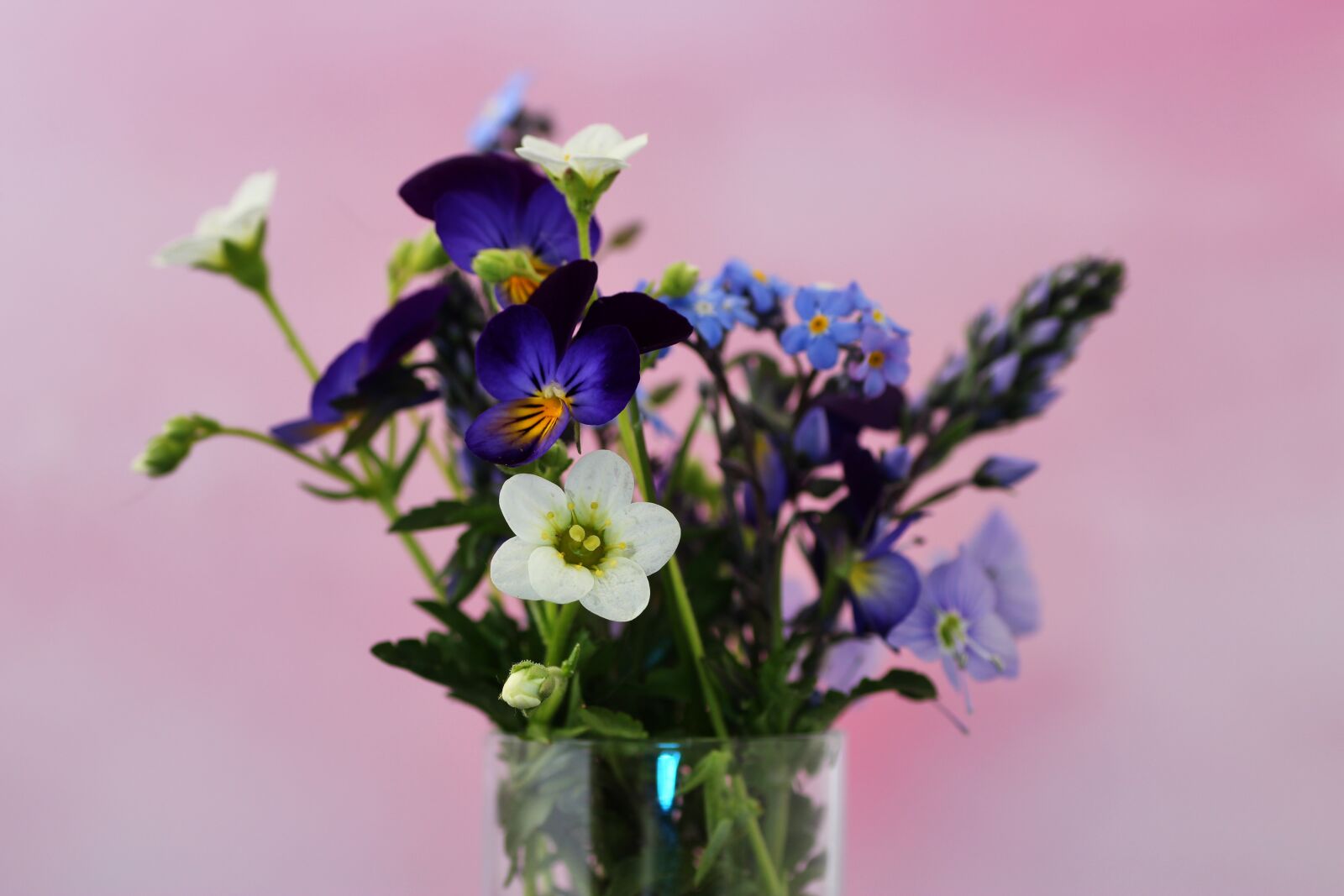 Tamron SP 90mm F2.8 Di VC USD 1:1 Macro sample photo. Spring bouquet, bouquet, spring photography