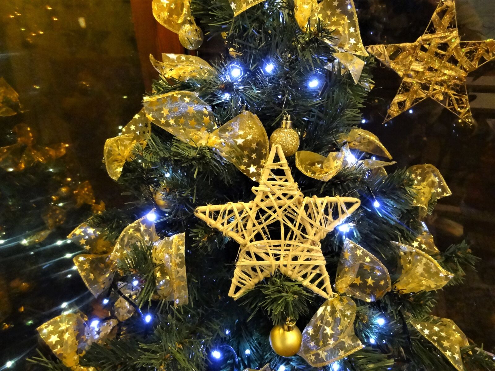 Sony Cyber-shot DSC-HX9V sample photo. Christmas, sapling, christmas tree photography