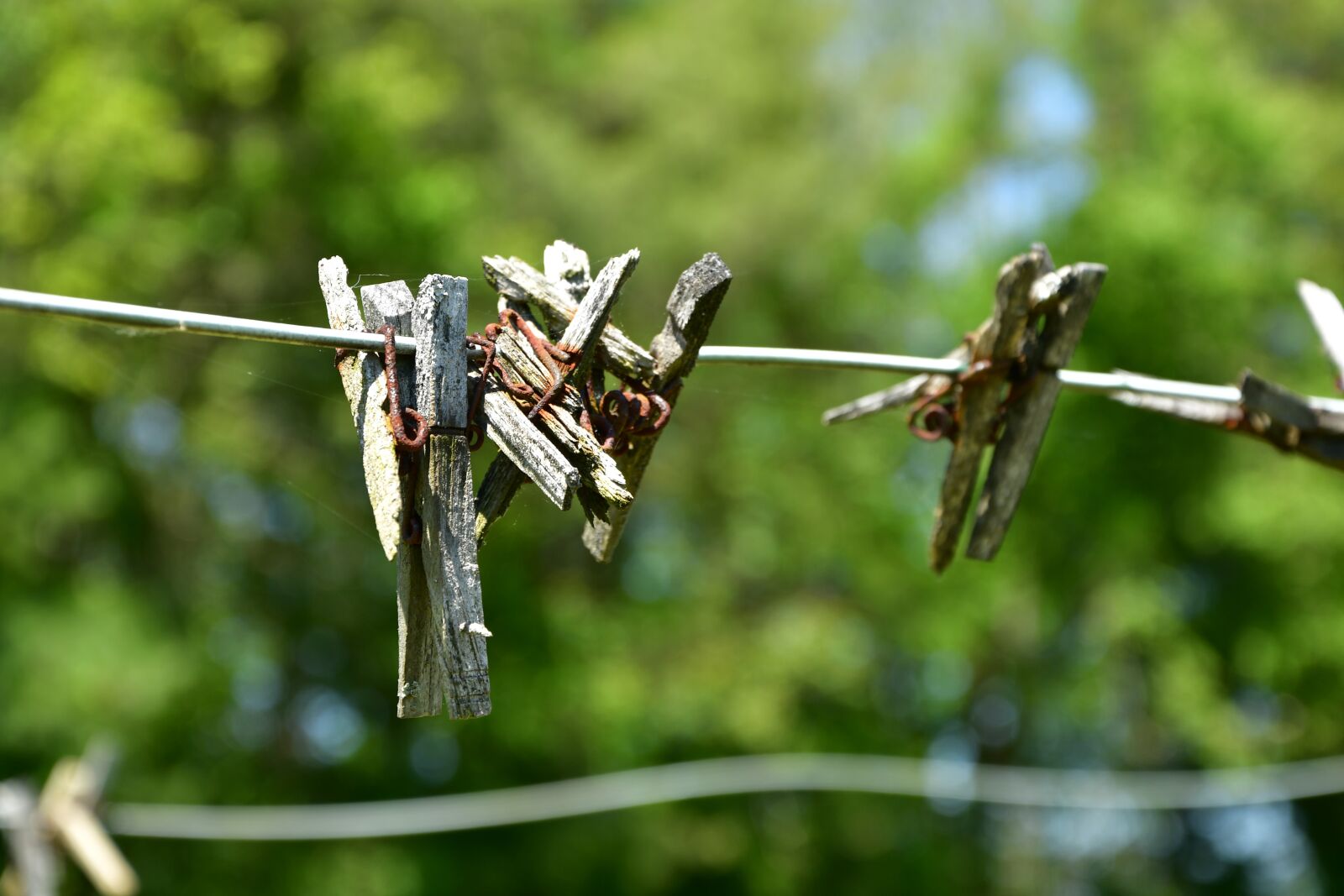 Nikon D7500 sample photo. Laundry, old, clothes pins photography