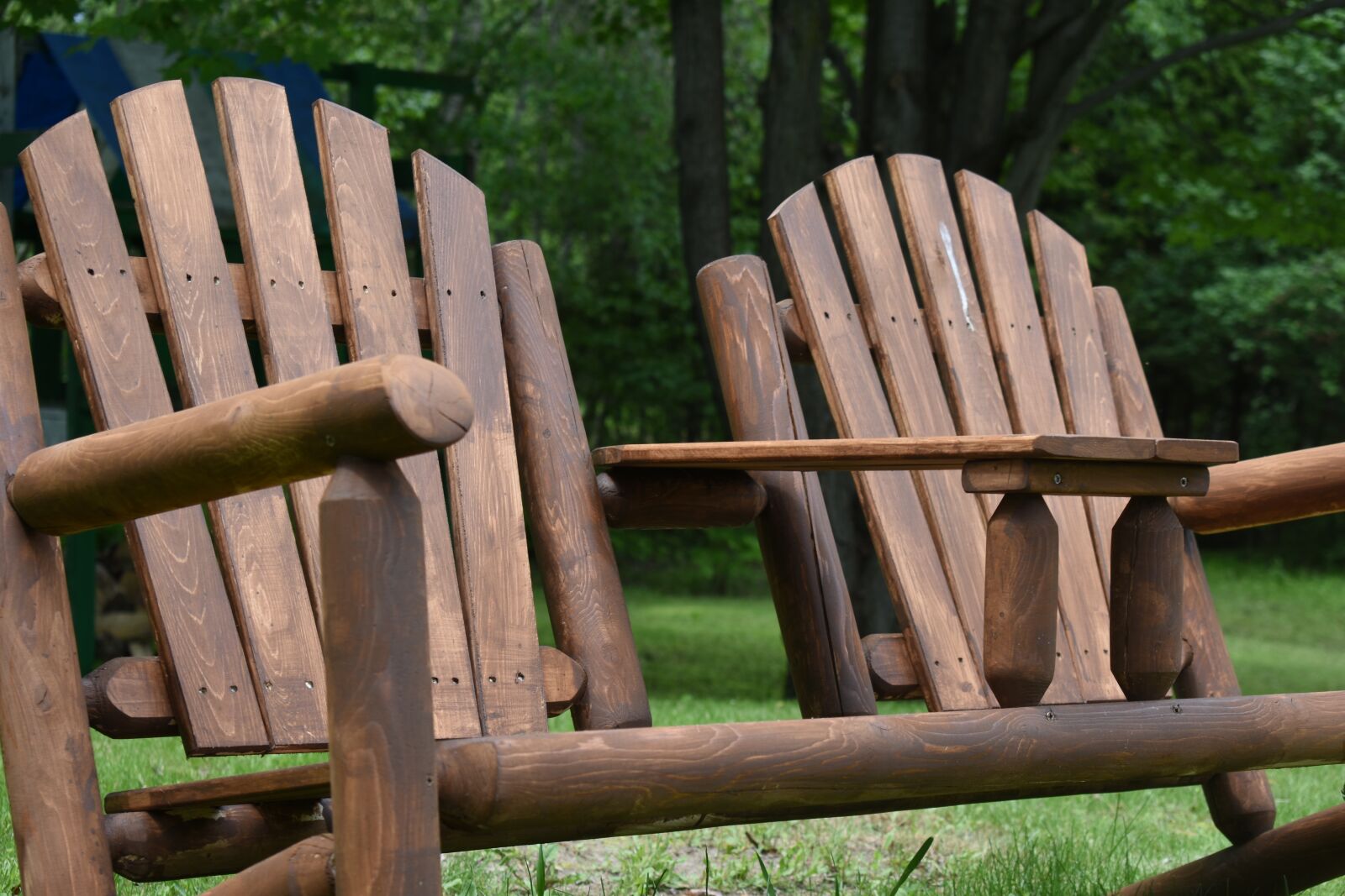 Nikon D3400 sample photo. Wooden, nature, green photography