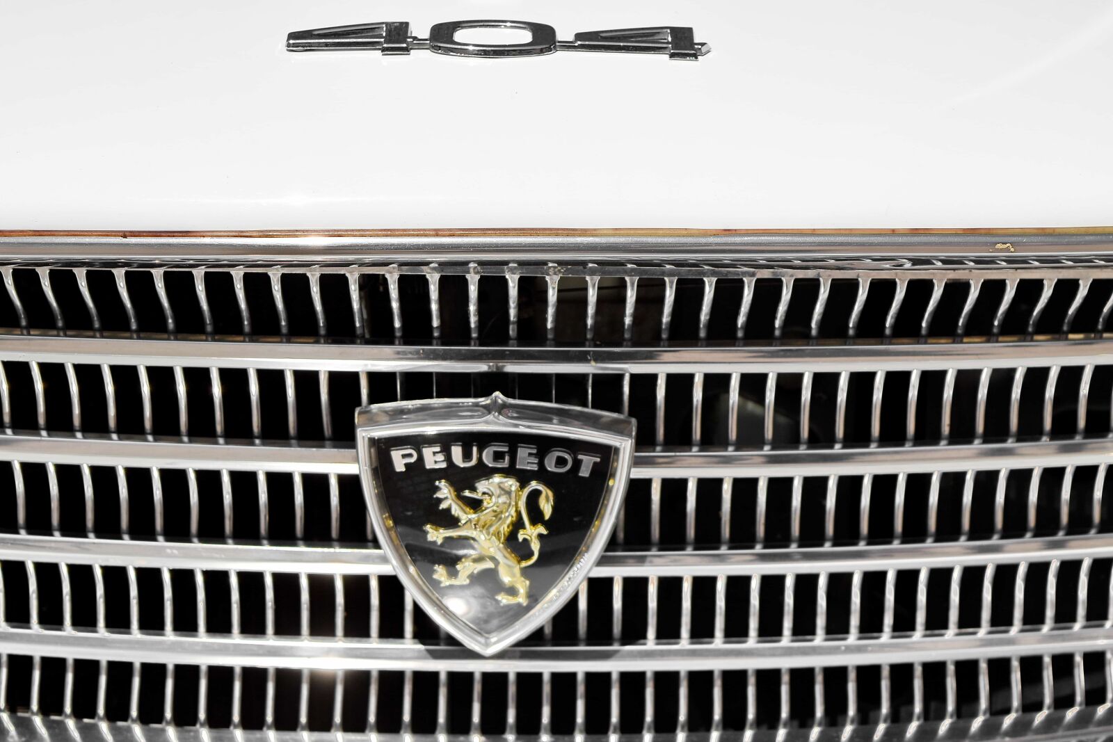 Nikon D5500 sample photo. Grille, steel, metallic, iron photography