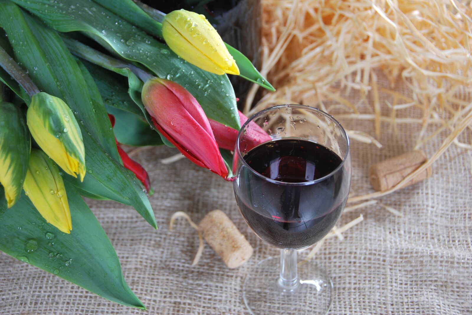 Nikon D60 sample photo. Red, wine, glass photography