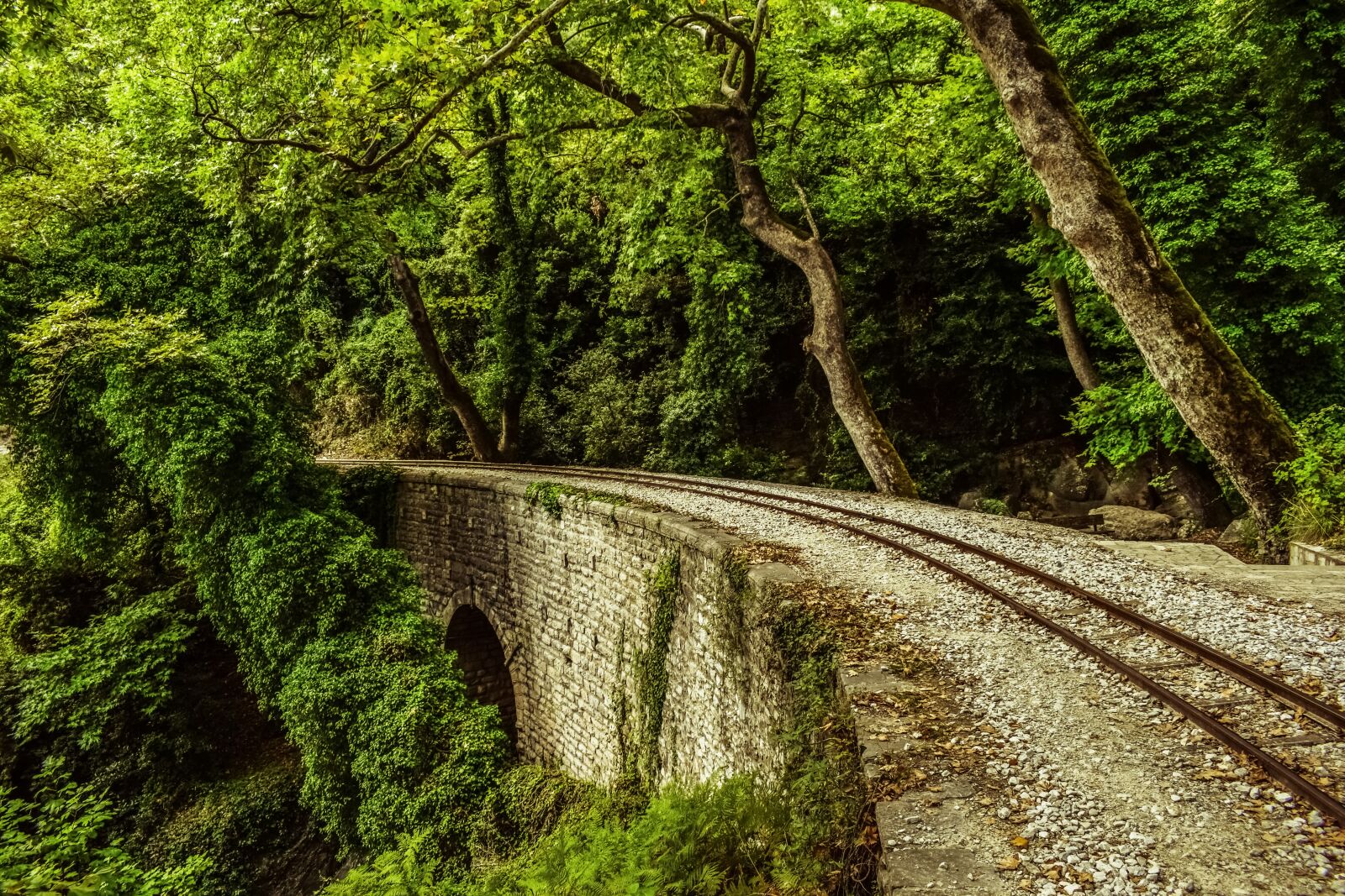 Nikon D3300 sample photo. Rails, bridge, trees photography