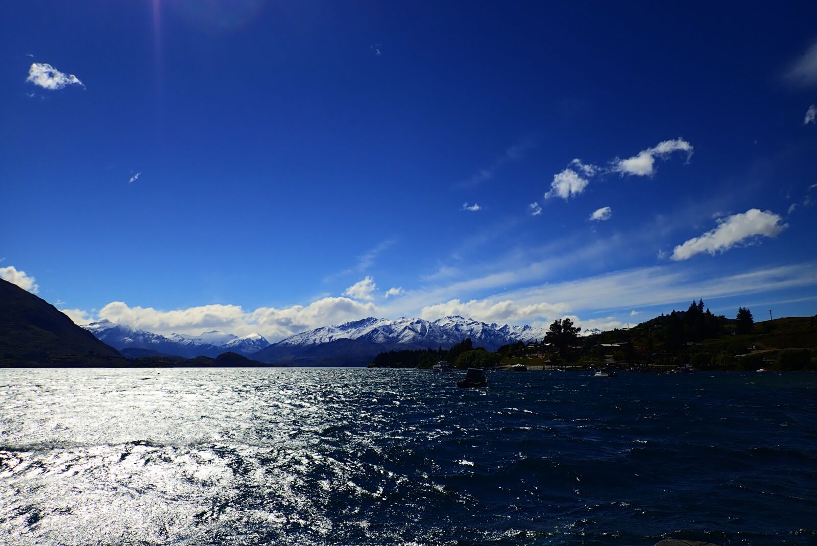 Olympus TG-5 sample photo. New zealand, kiwi, wanaka photography