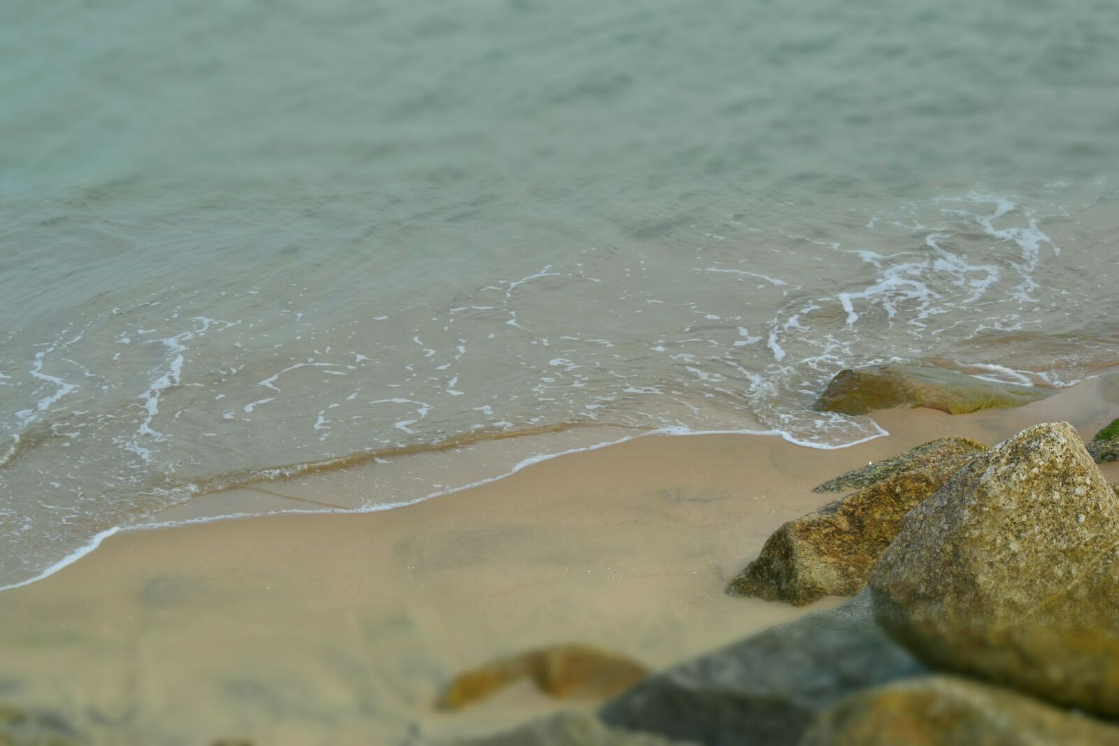 Nikon D3500 sample photo. The water's edge, beach photography