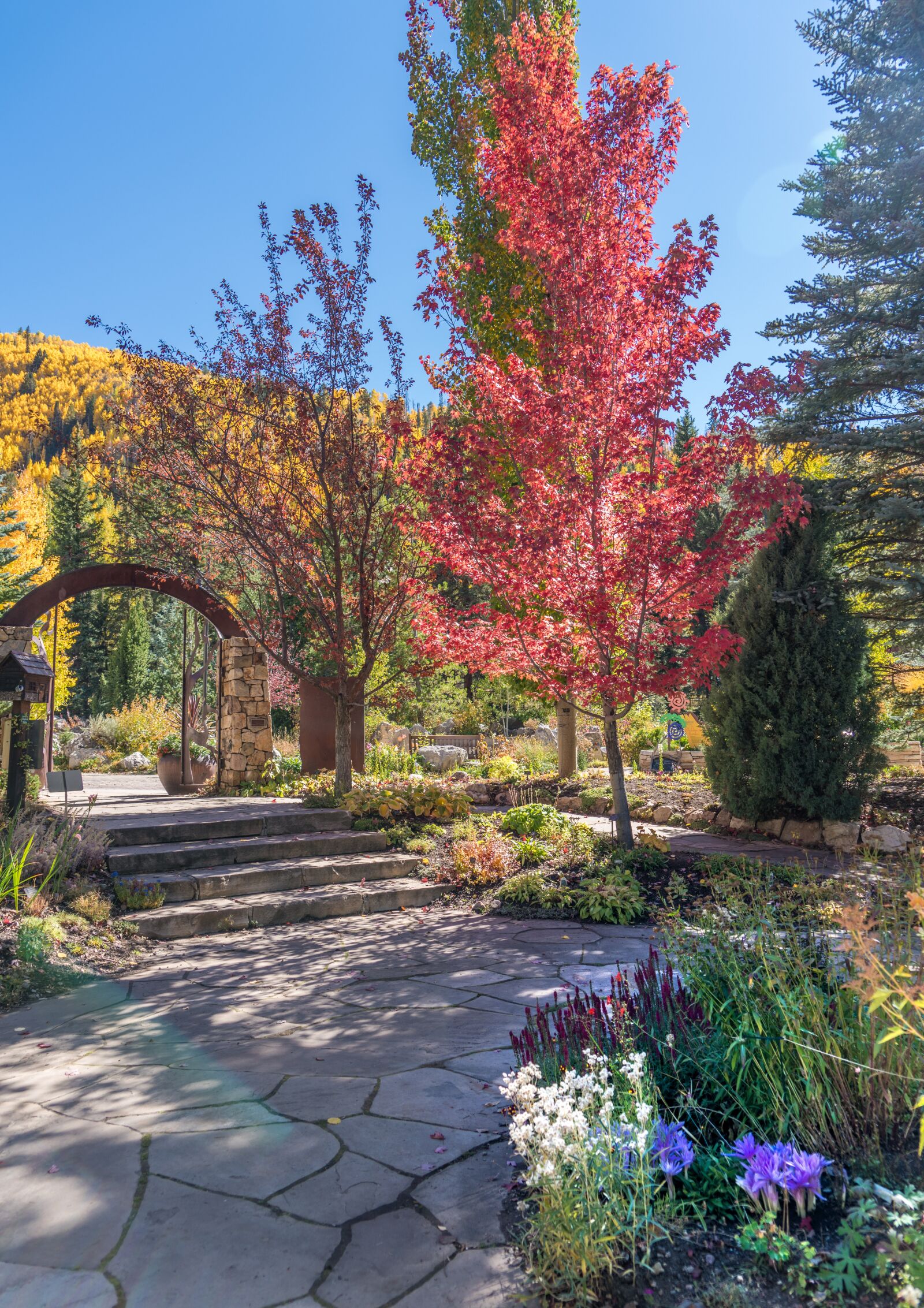Sony a7R II + Sony FE 24-240mm F3.5-6.3 OSS sample photo. Vail, colorado, betty ford photography