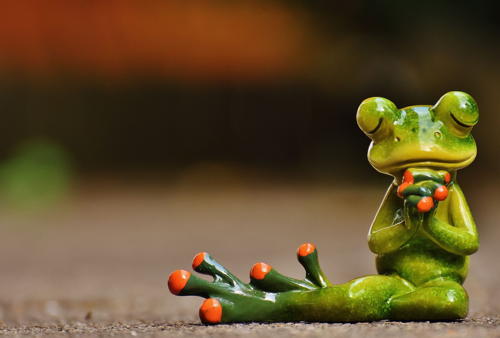 Nikon D7200 sample photo. Frog, pray, harmony photography