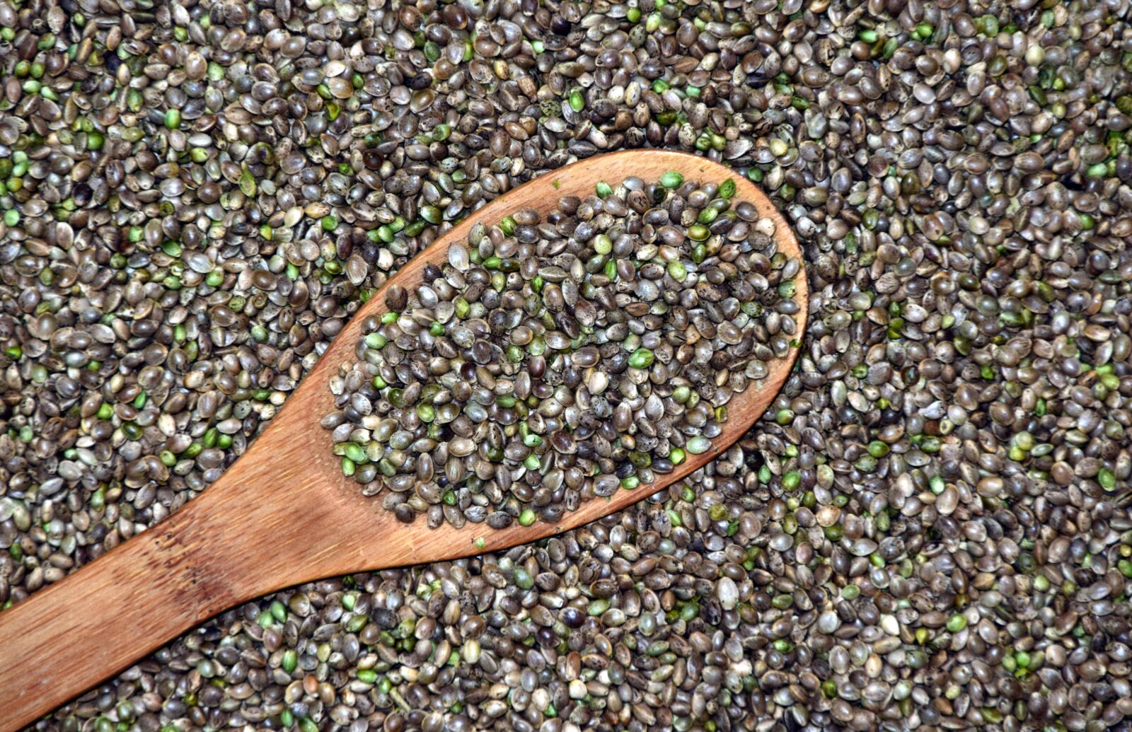 Nikon D3300 sample photo. Hemp, cannabis seeds, grains photography