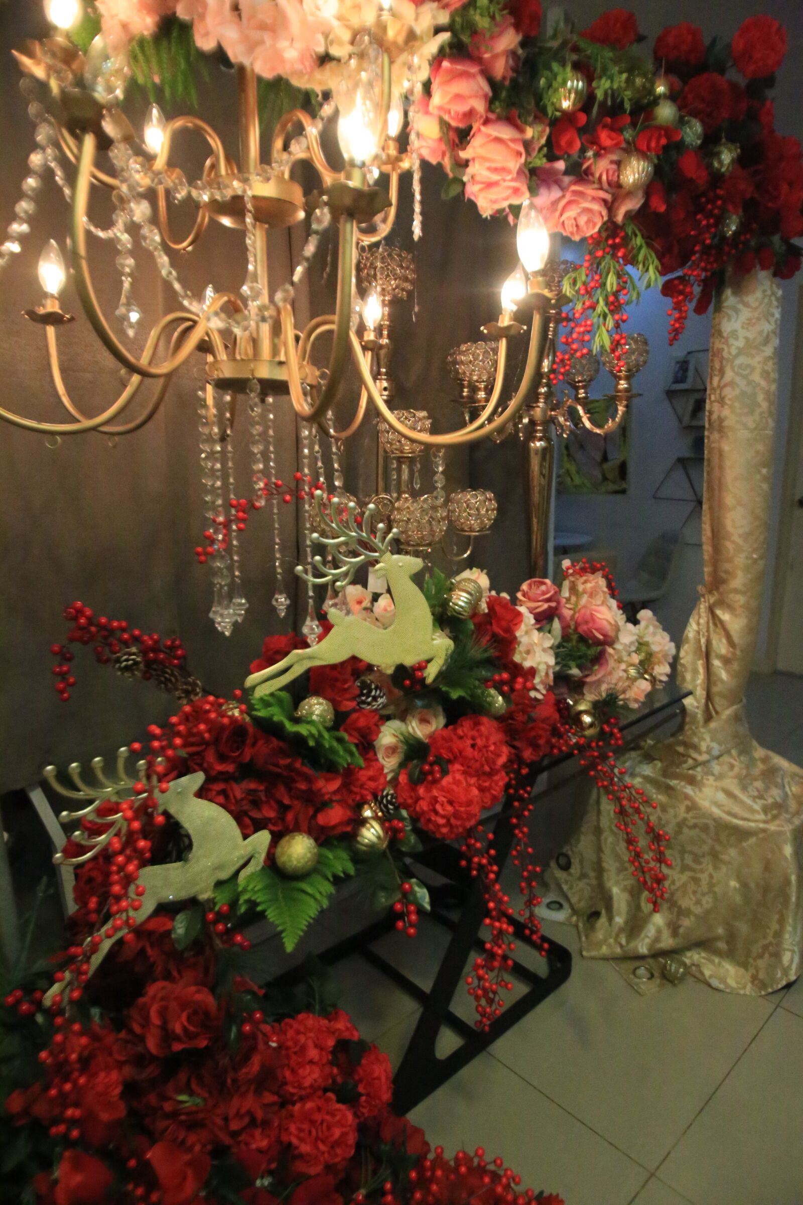 Canon EOS 6D sample photo. Decors, debut, event photography