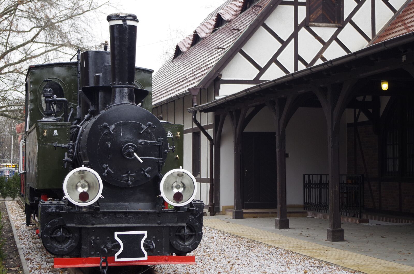 Pentax K-50 sample photo. Historic steam engine, narrow-gauge photography