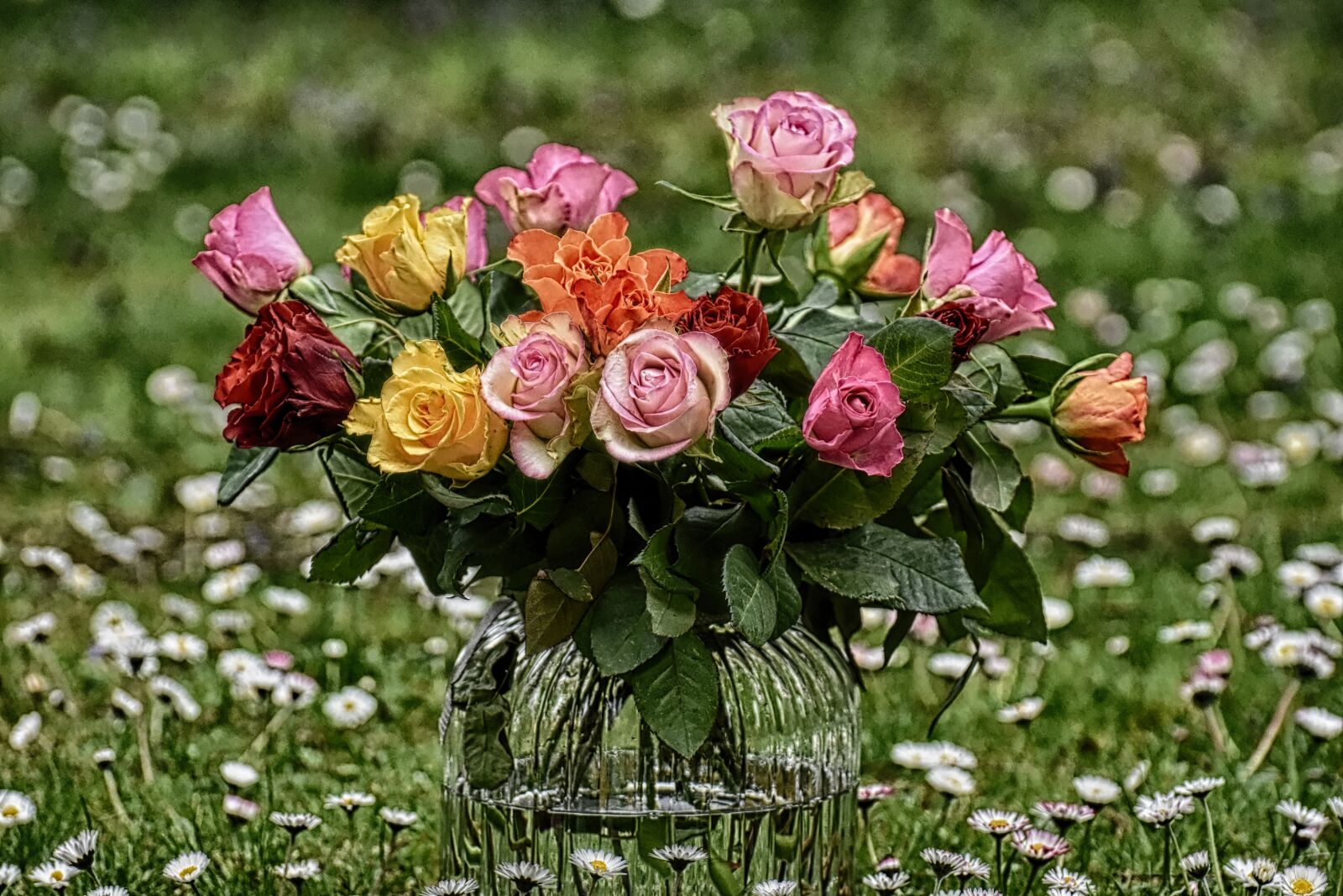 Nikon D7200 sample photo. Roses, bouquet, flowers photography
