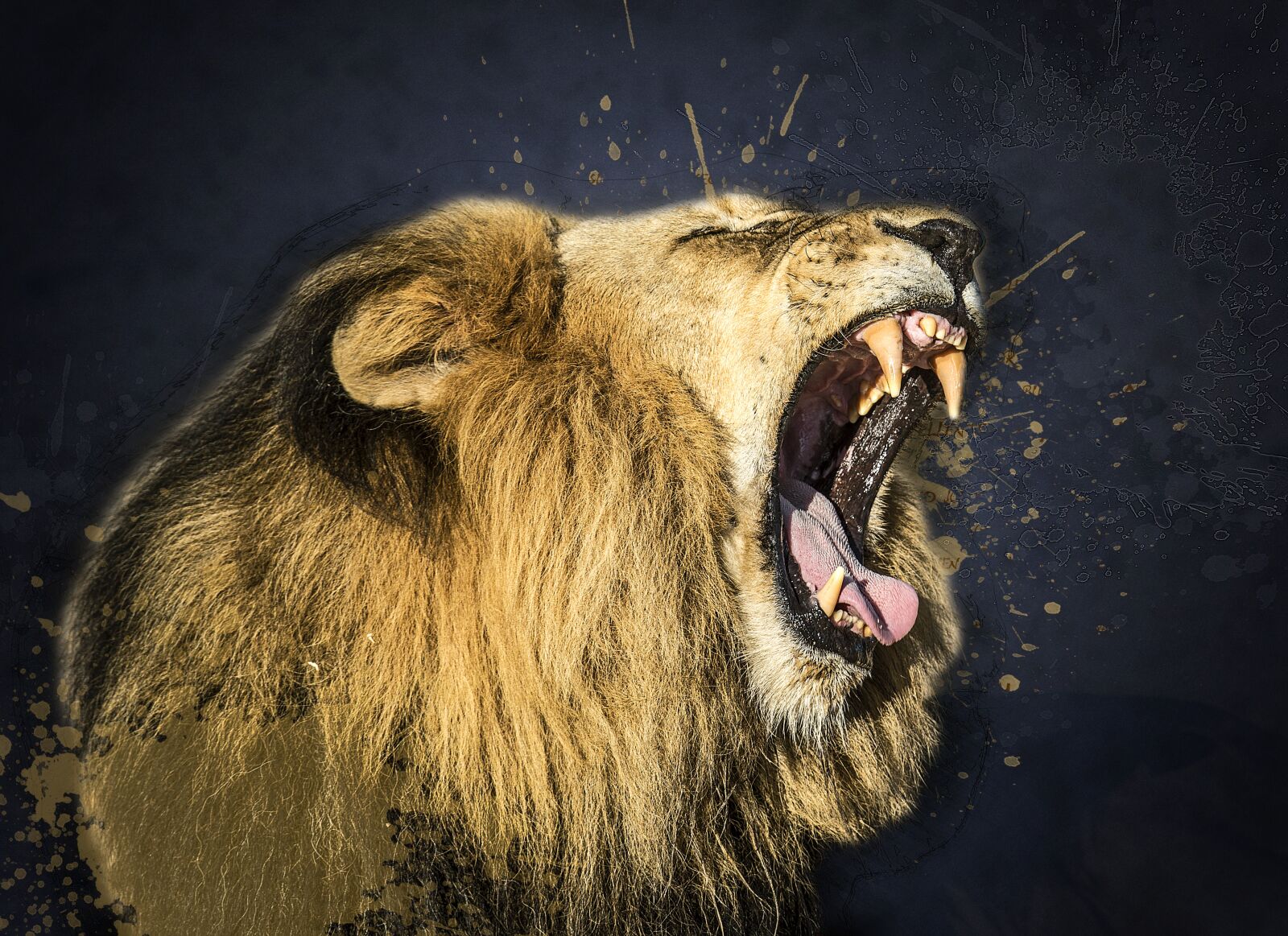 Nikon D750 sample photo. Animal, big cat, close-up photography