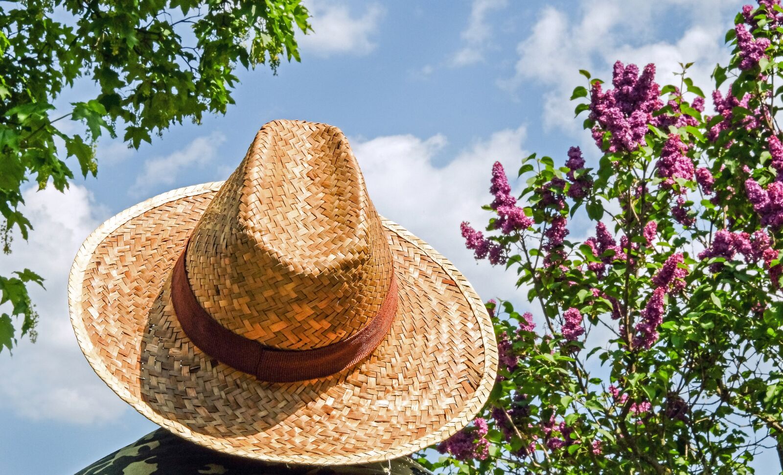 Fujifilm X-T10 sample photo. Hat, straw hat, sun photography