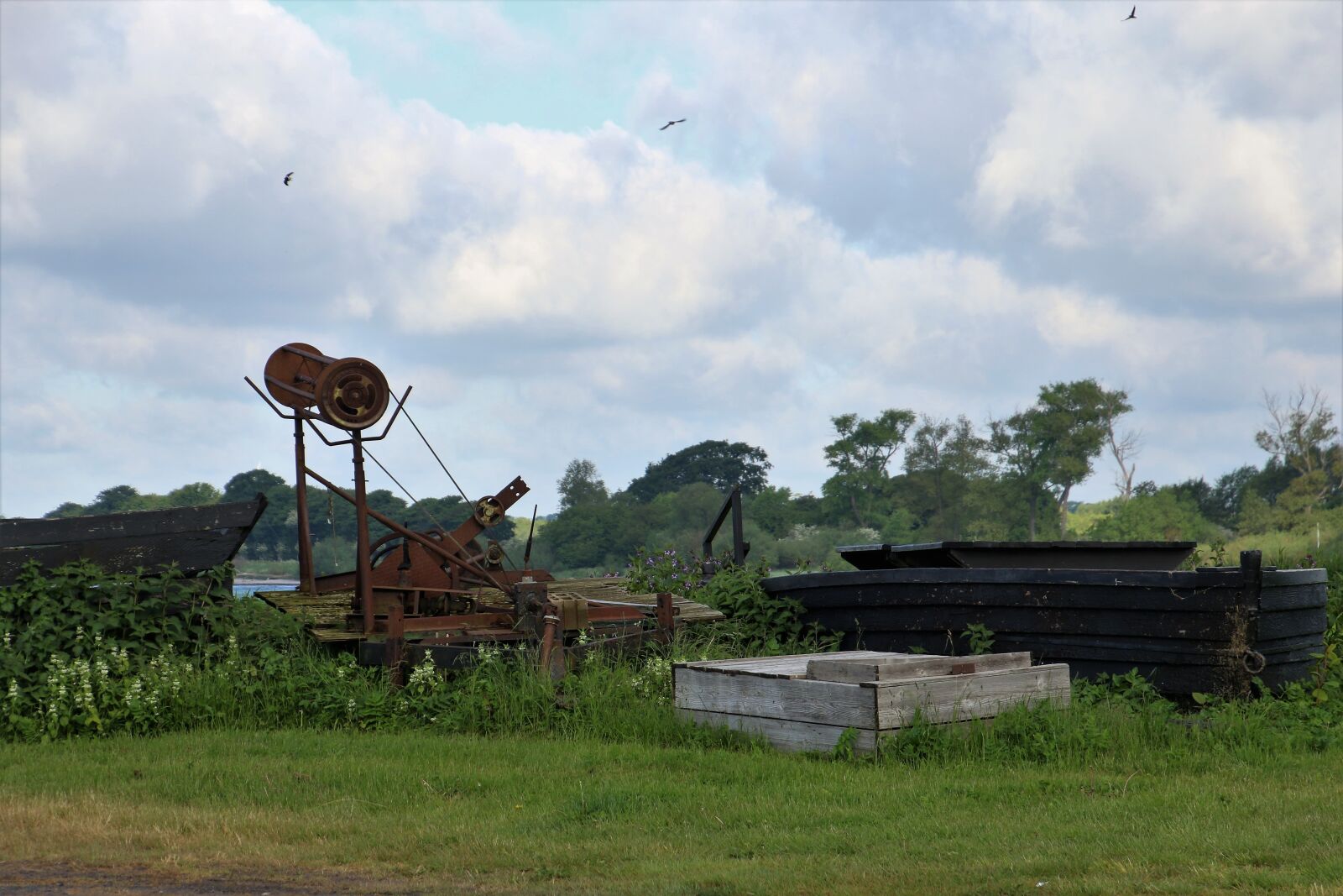 Canon EOS 7D Mark II sample photo. Agricultural, machine, birds, blue photography