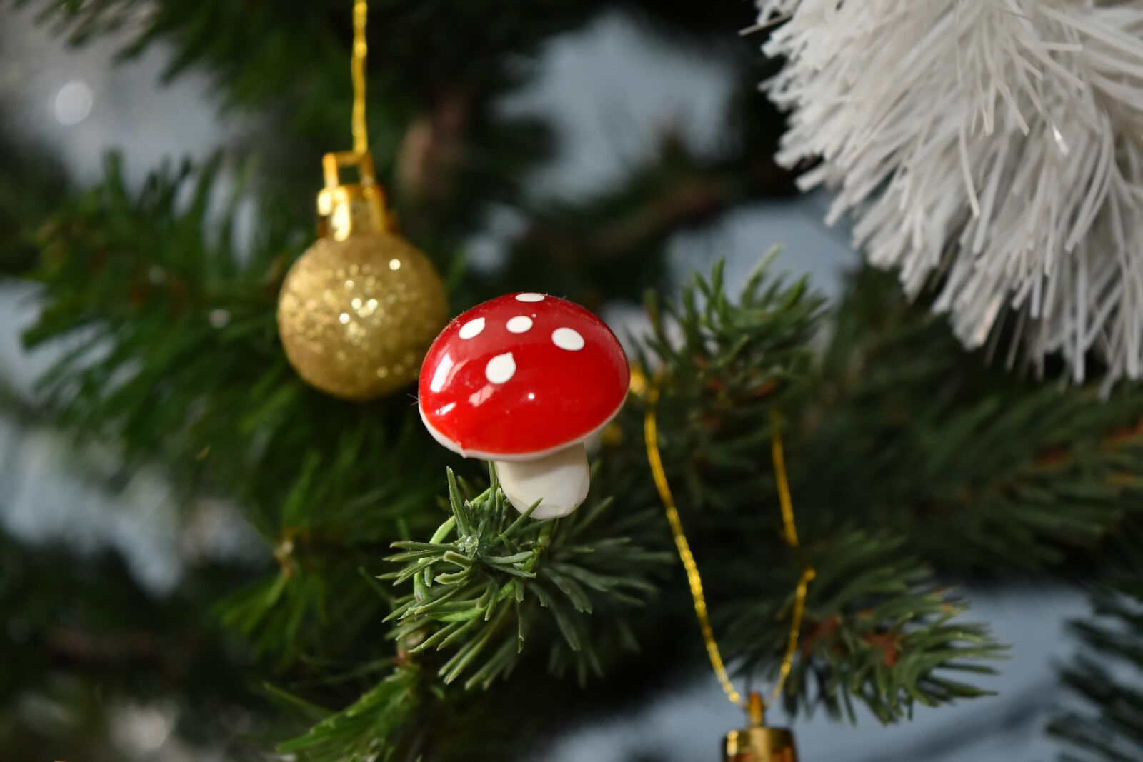 Nikon D5500 sample photo. Christmas, christmas tree, decoration photography