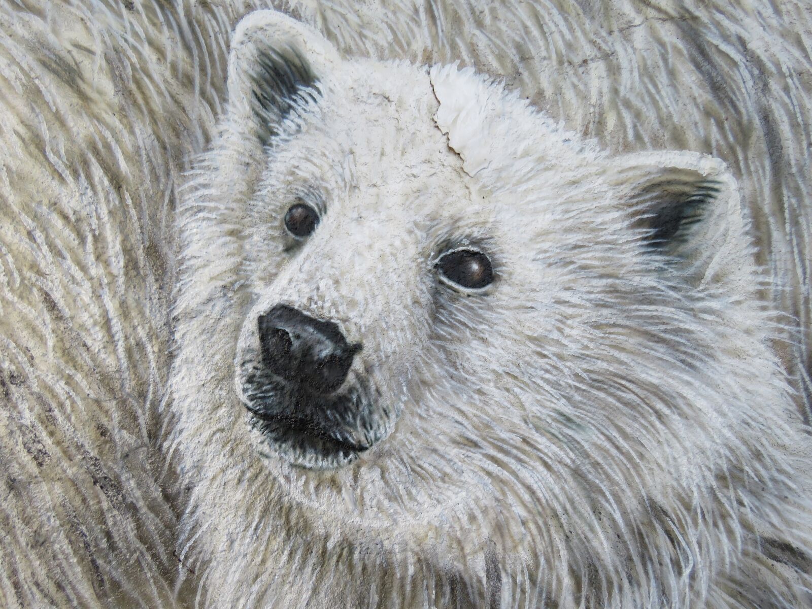 Canon PowerShot SX60 HS sample photo. Polar bear, wall art photography