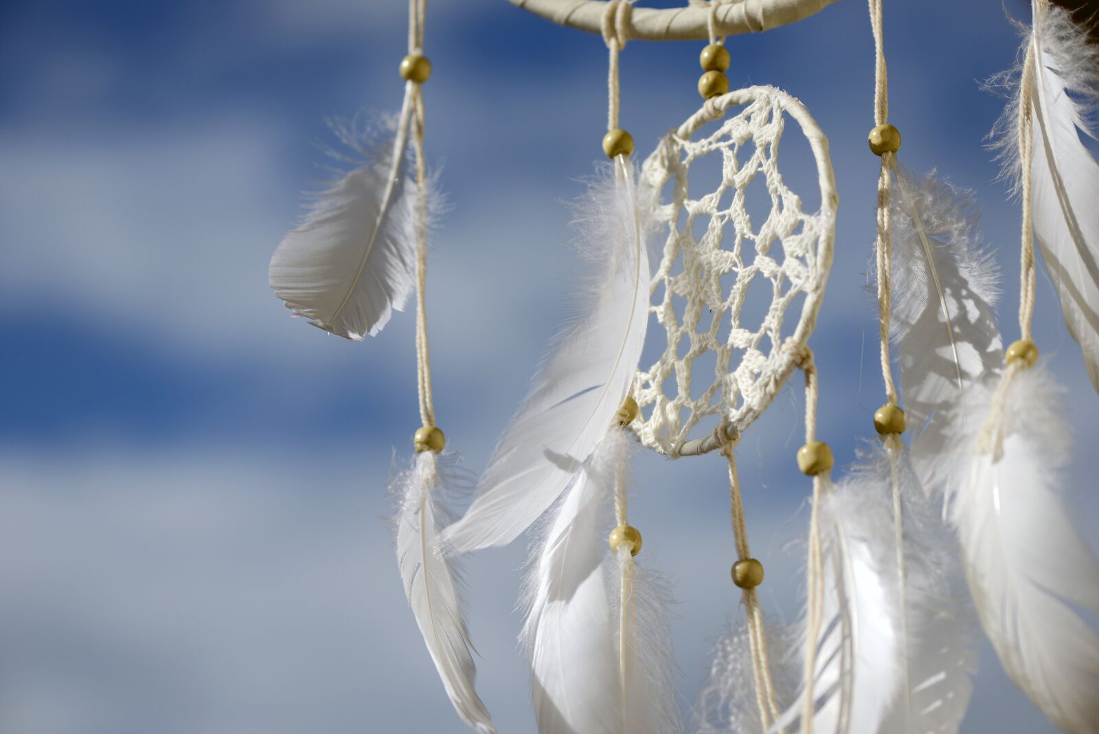 Nikon D800 sample photo. Dream catcher, dreamcatcher, feather photography