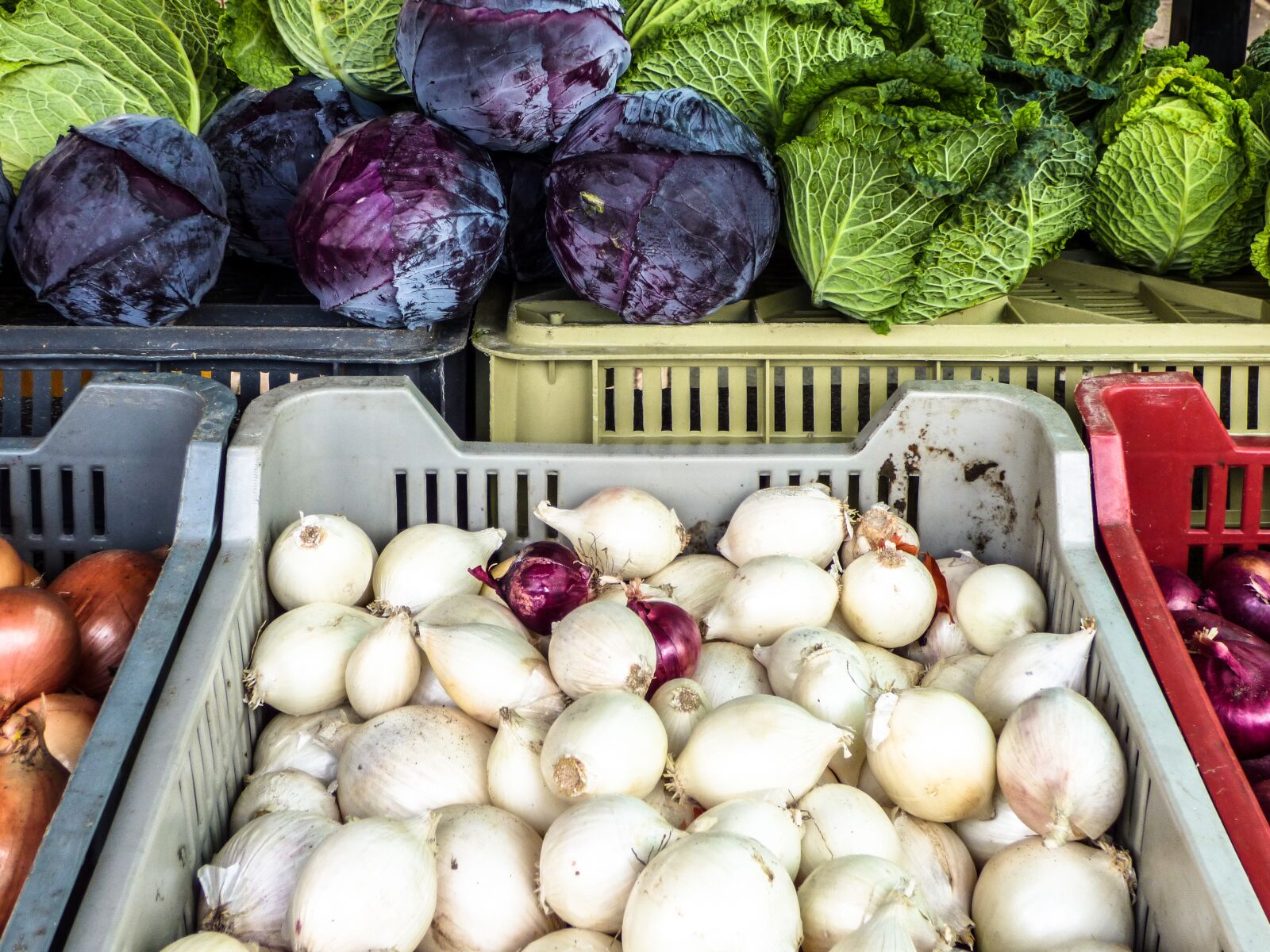 Panasonic DMC-FZ72 sample photo. Market, onion, cabbage photography
