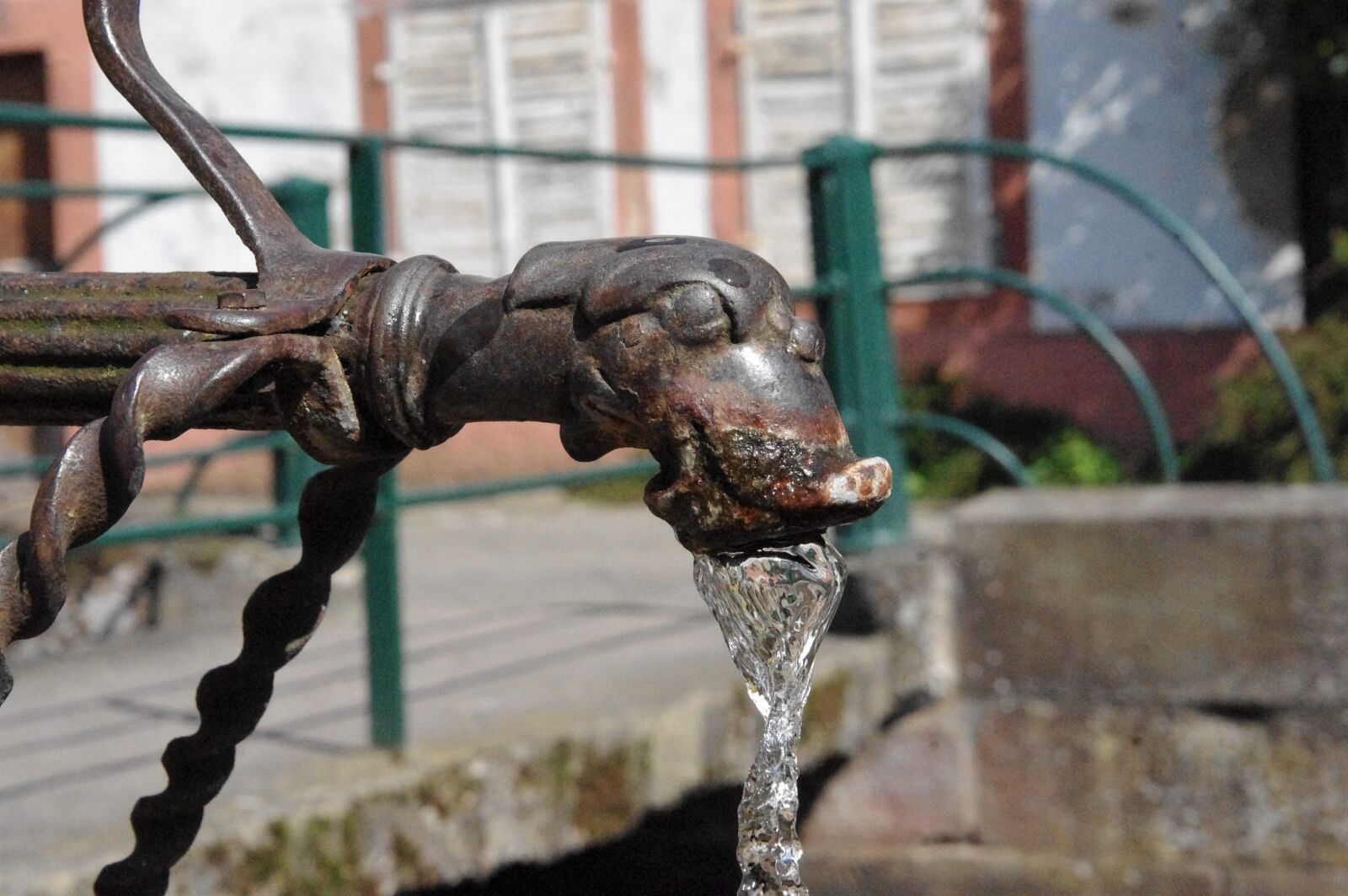 Pentax K-x sample photo. Water, gargoyle, fountain photography