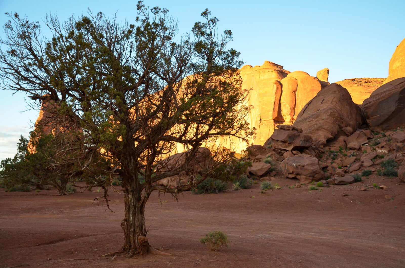 Nikon D5100 sample photo. Usa, america, south west photography