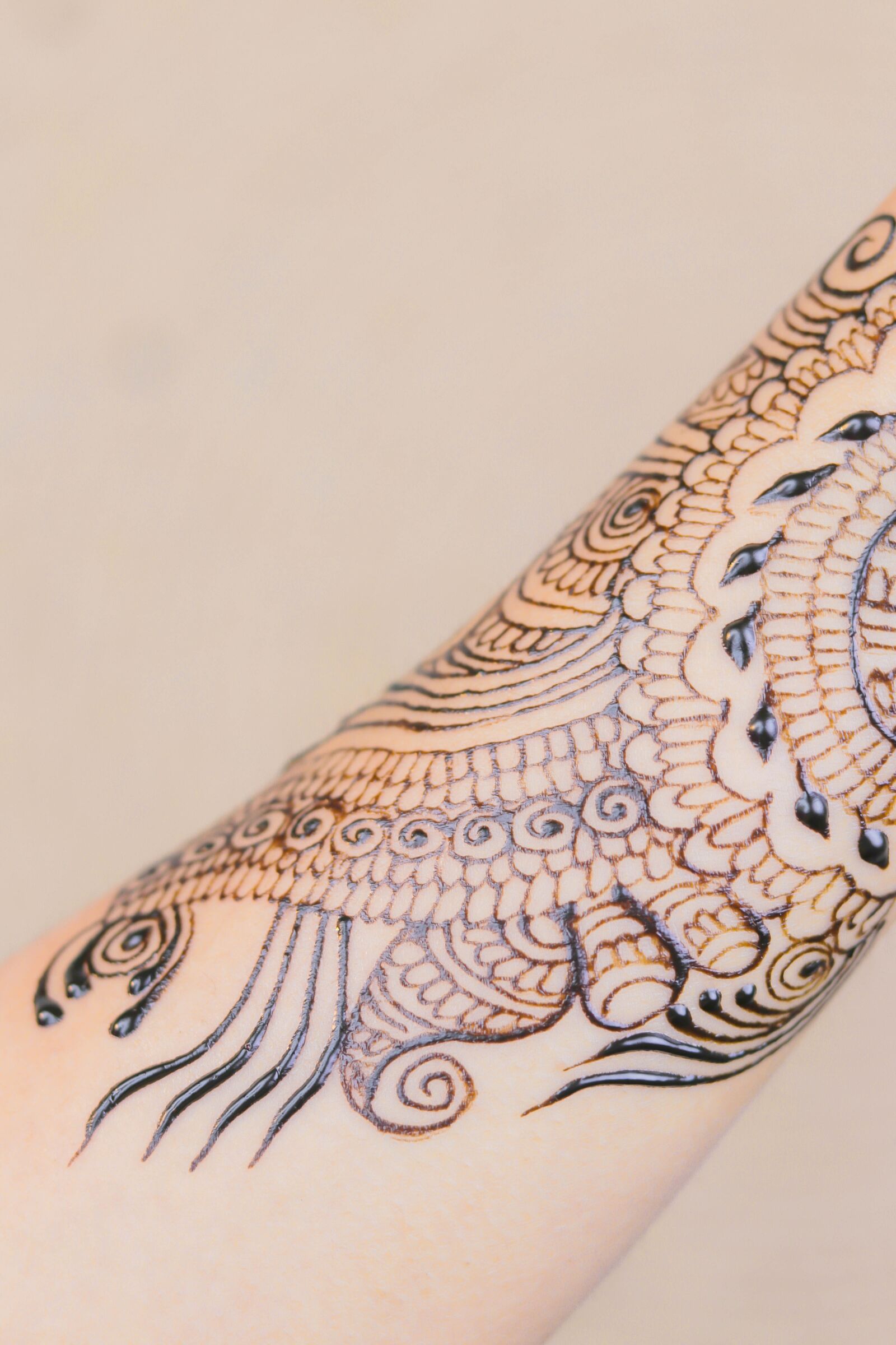Canon EOS 80D + Canon EF 50mm F1.8 STM sample photo. Henna, bride, wedding photography