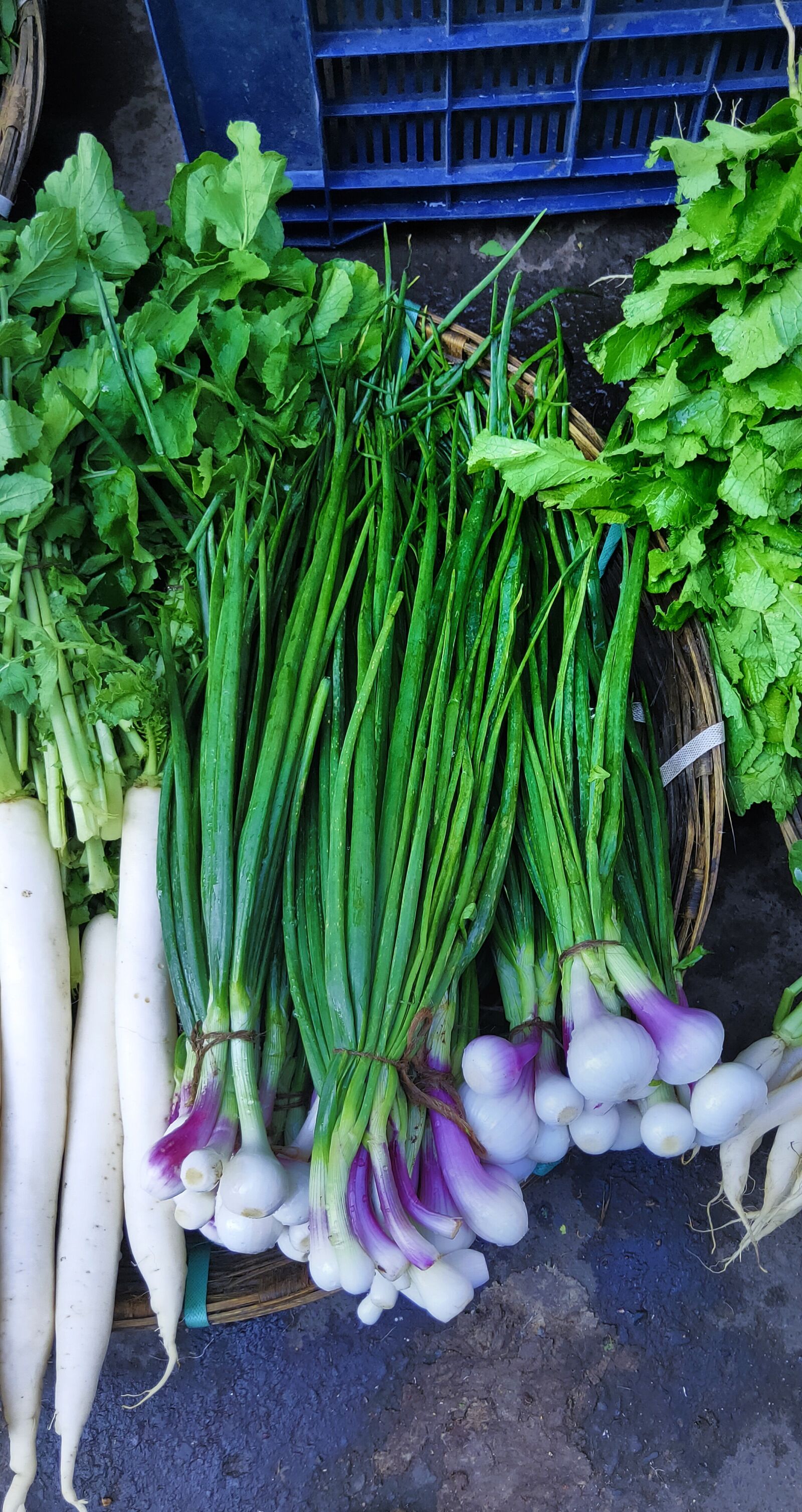 Realme 3 PRO sample photo. Onion, fresh vegetables, indian photography