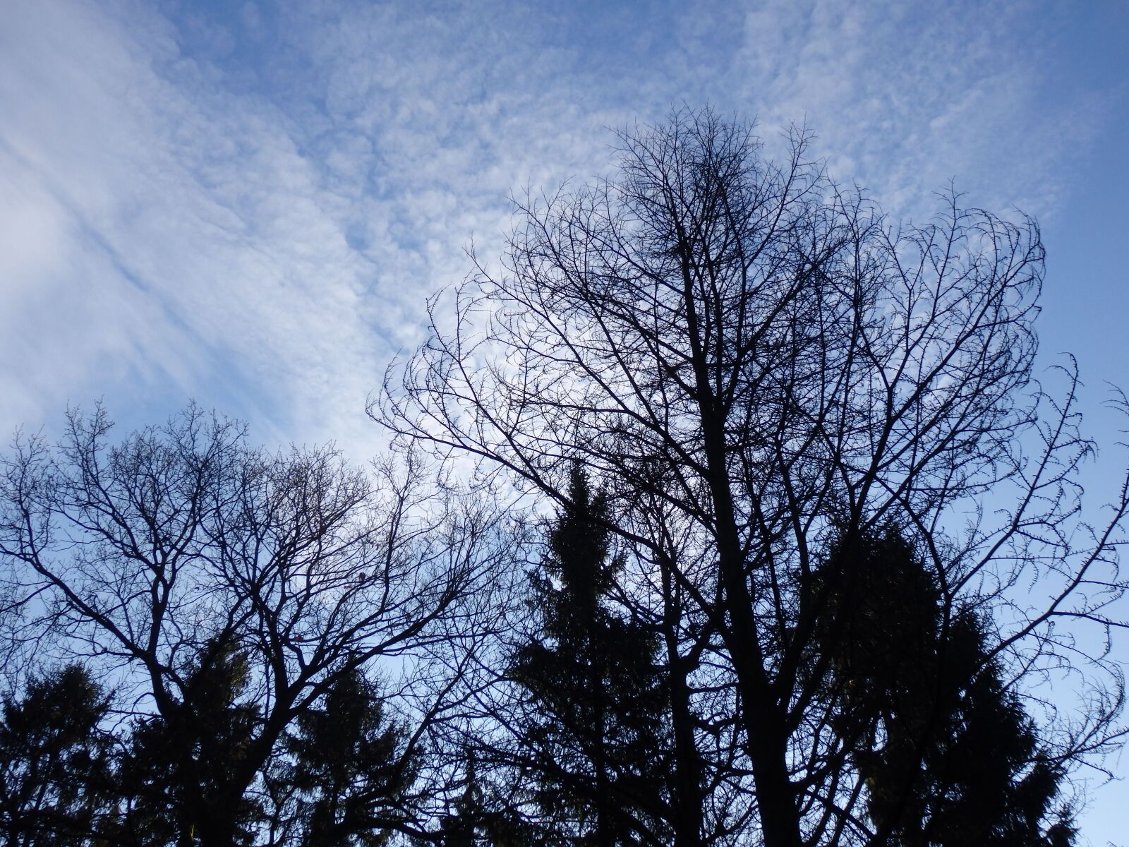Olympus SZ-16,DZ-105 sample photo. Sky, winter, winter landscape photography
