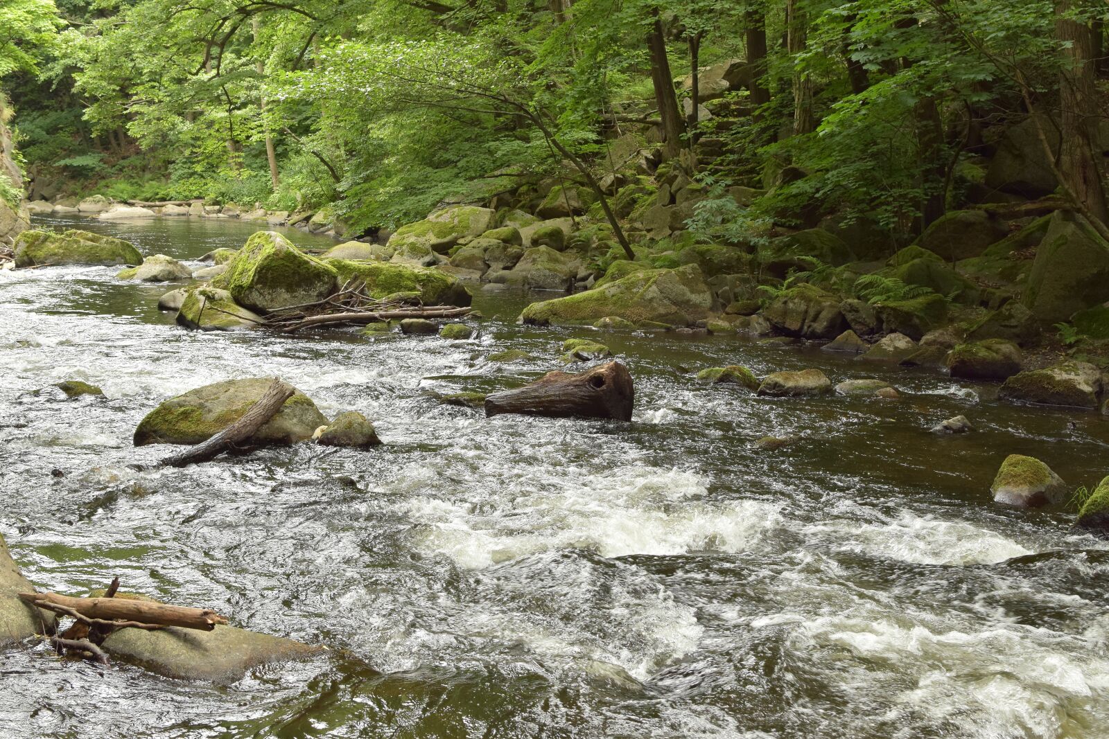 Nikon D5300 sample photo. Bode, river, water photography