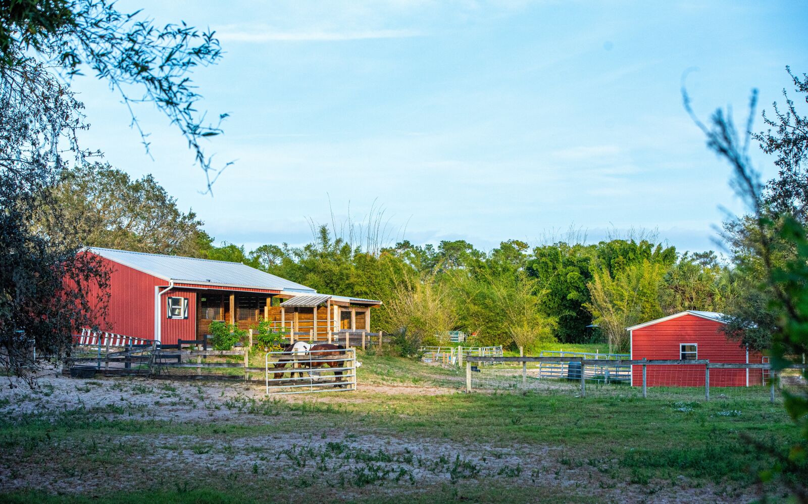Nikon D750 sample photo. Horse, barn, animal photography