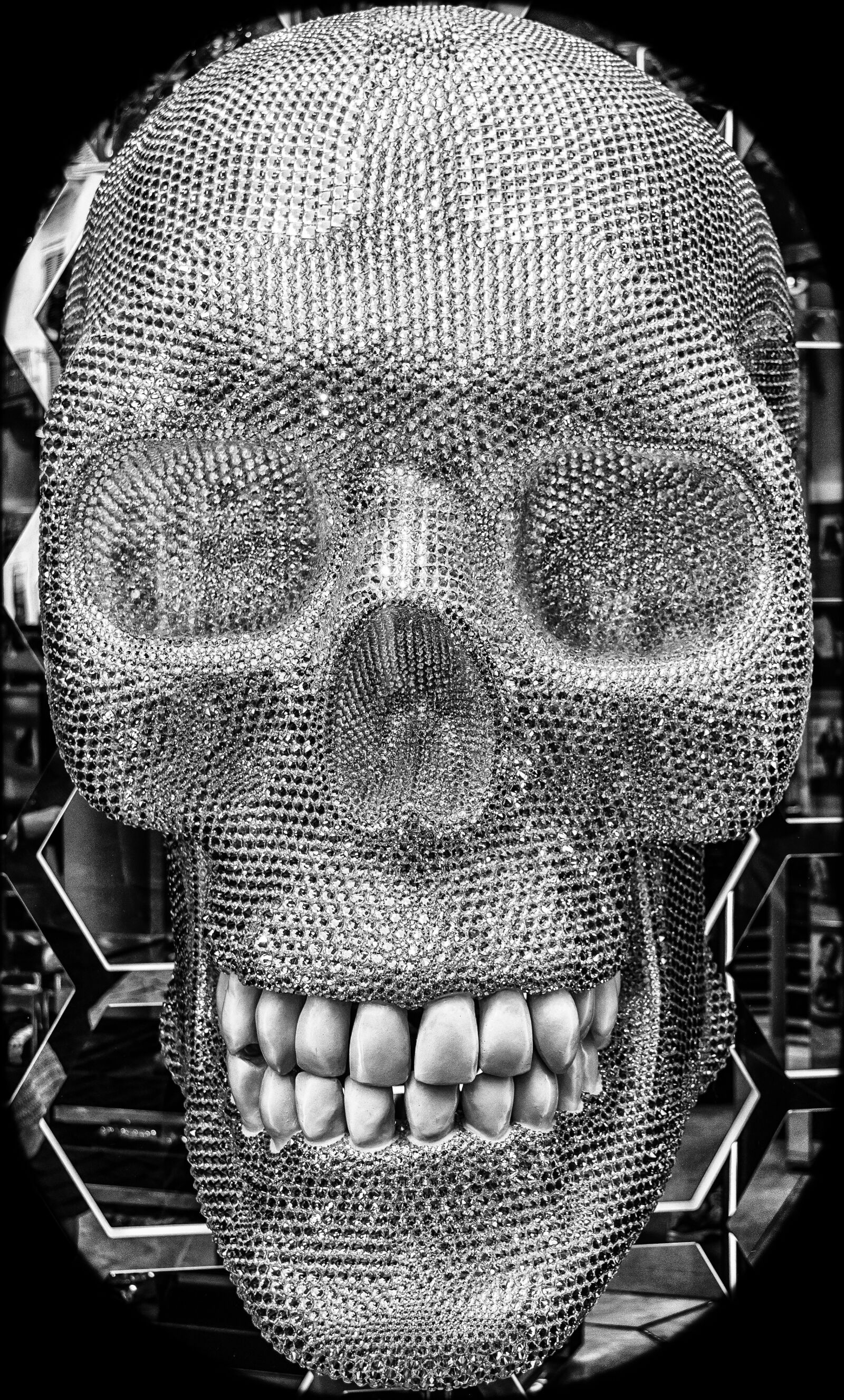 Nikon D3300 sample photo. Skull, skull and crossbones photography