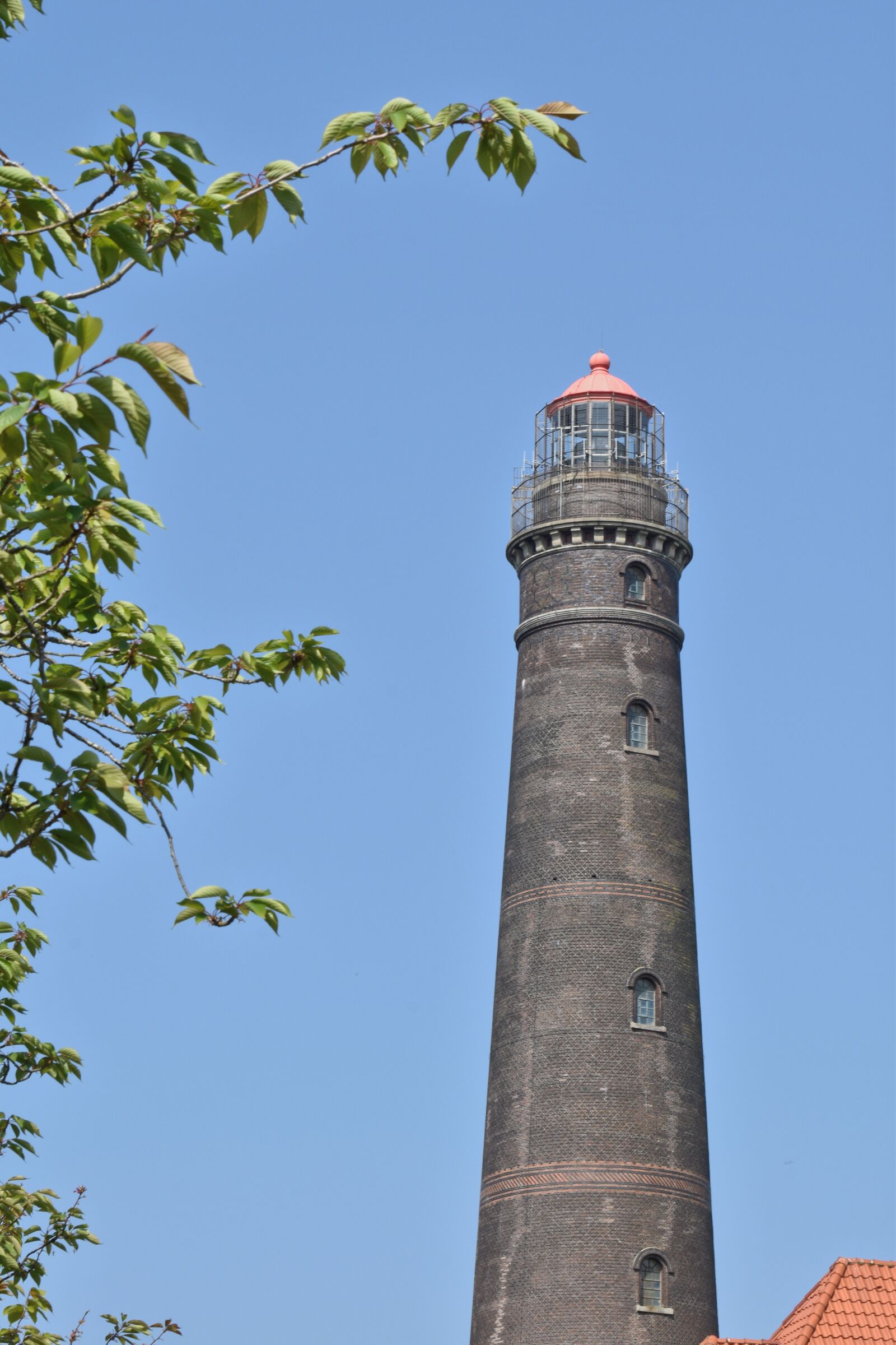 Nikon D5600 sample photo. Borkum lighthouse, east frisia photography