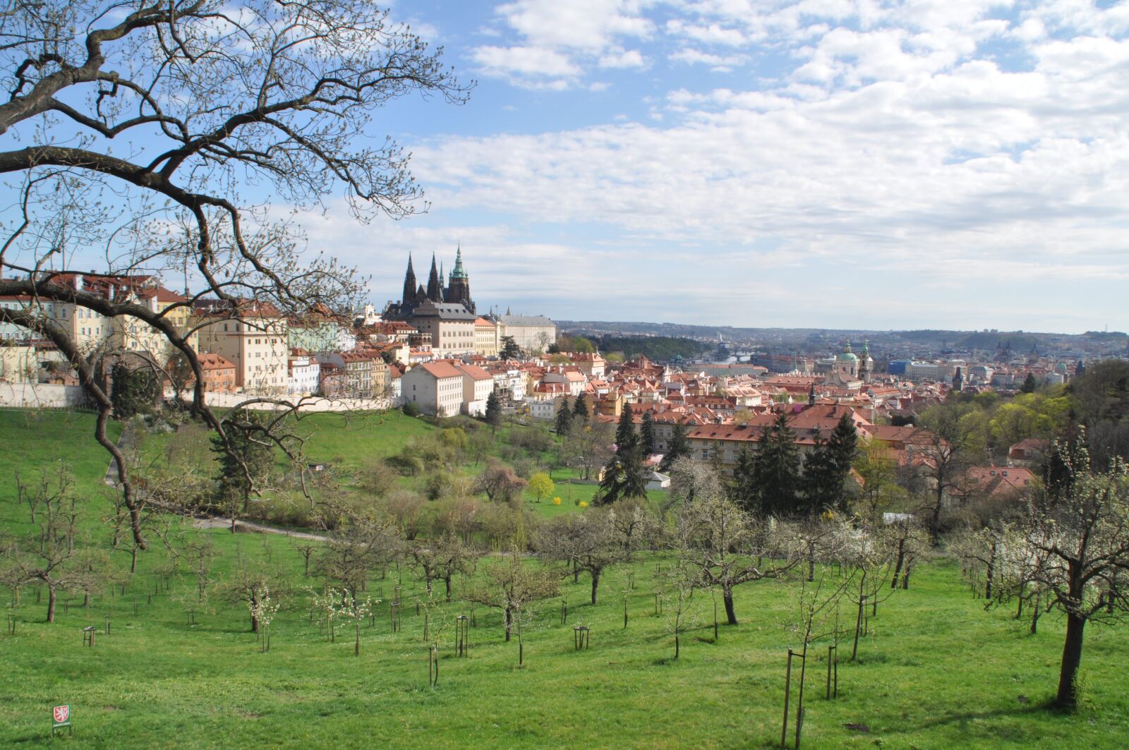 Nikon D5000 sample photo. Prague, castle, historic center photography