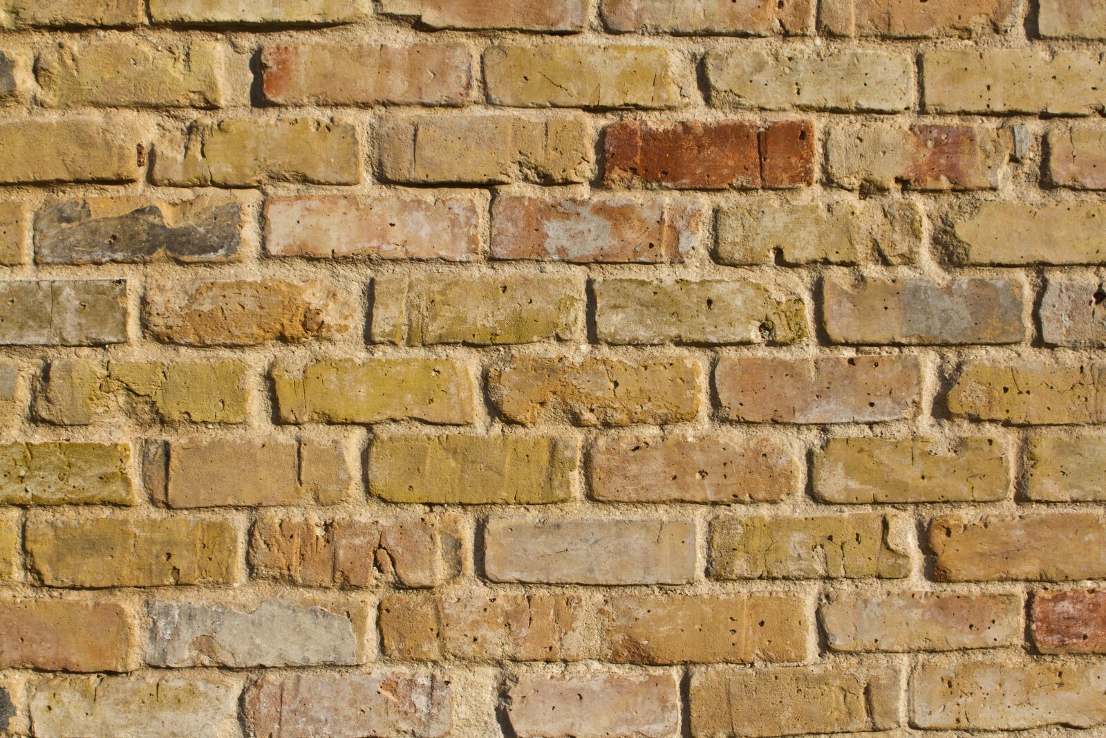 Canon EOS 550D (EOS Rebel T2i / EOS Kiss X4) sample photo. Wall, bricks, stones photography