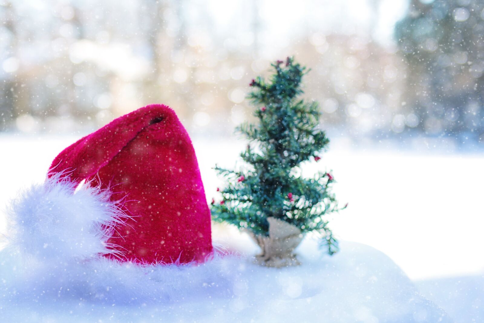 Canon EF 50mm F1.4 USM sample photo. Santa's hat, snow, winter photography