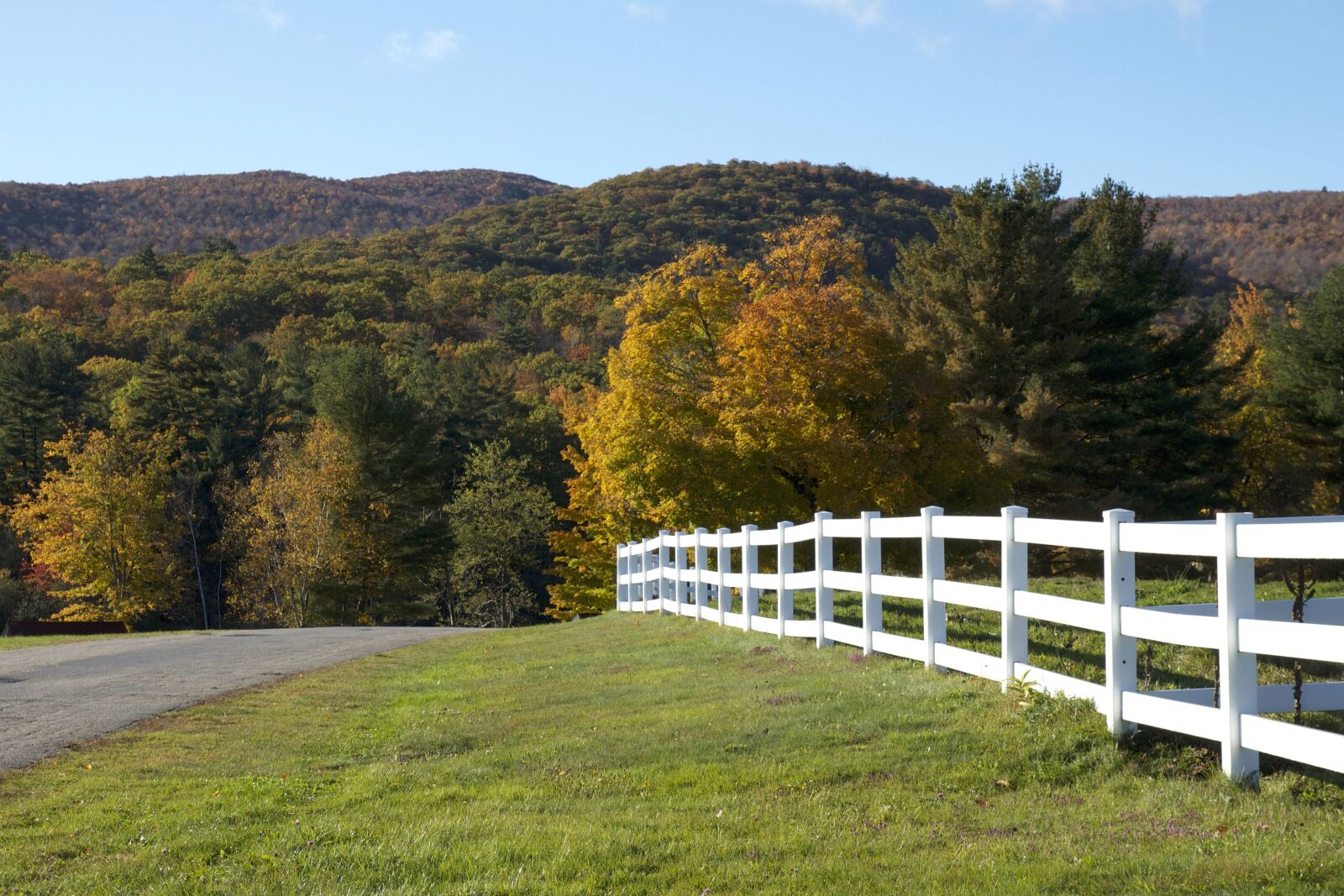 Canon EOS 550D (EOS Rebel T2i / EOS Kiss X4) sample photo. White wooden fence, road photography