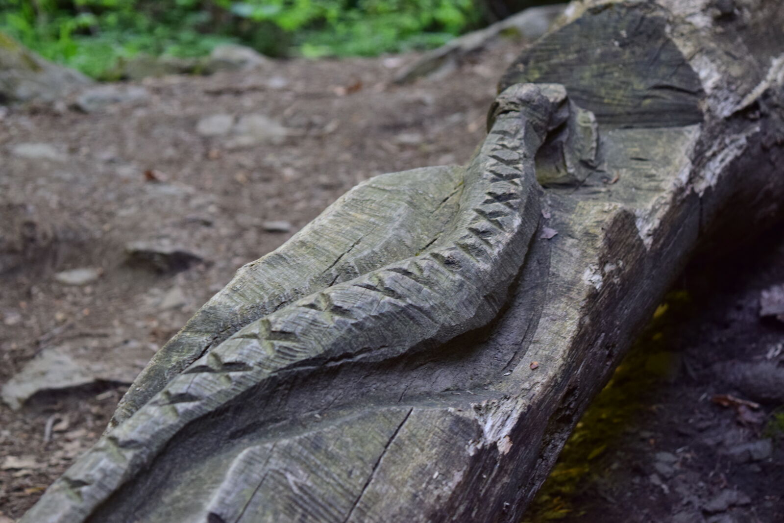 Nikon D5300 sample photo. Carving, germany, nature, snake photography