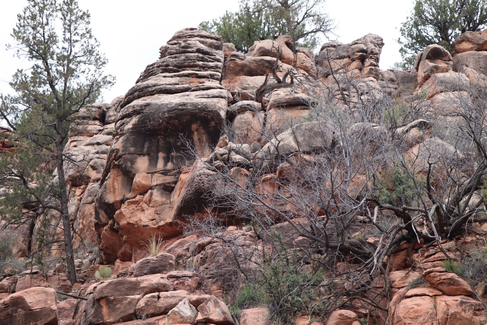 Canon EOS M50 (EOS Kiss M) sample photo. Cathedral rock, grand canyon photography