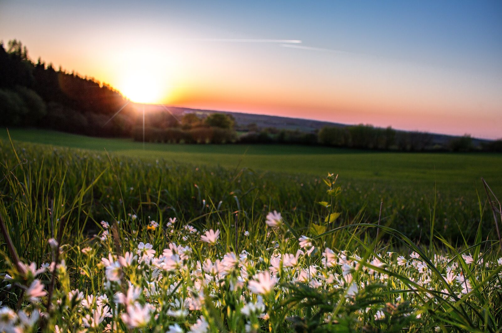 Canon EOS 700D (EOS Rebel T5i / EOS Kiss X7i) sample photo. Sun, sunset, abendstimmung photography