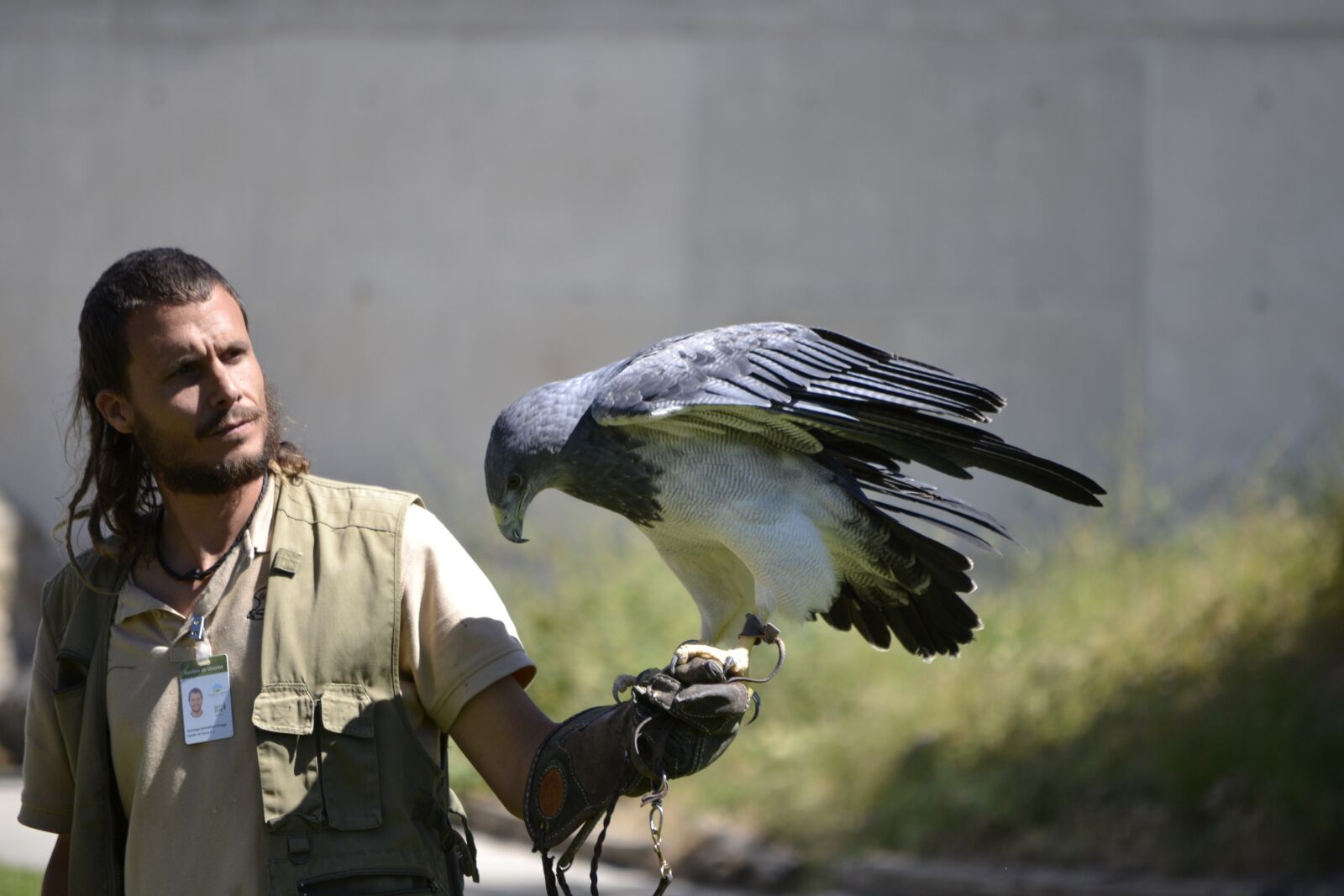 Nikon D3100 sample photo. Birds of prey, booted photography