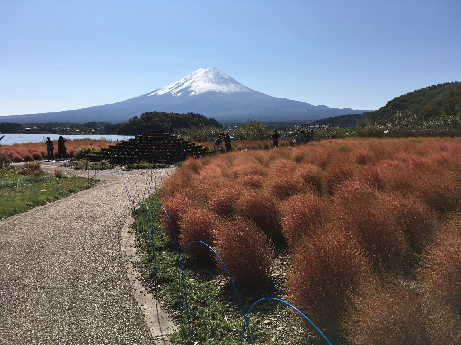 iPhone SE back camera 4.15mm f/2.2 sample photo. Fujisan photography