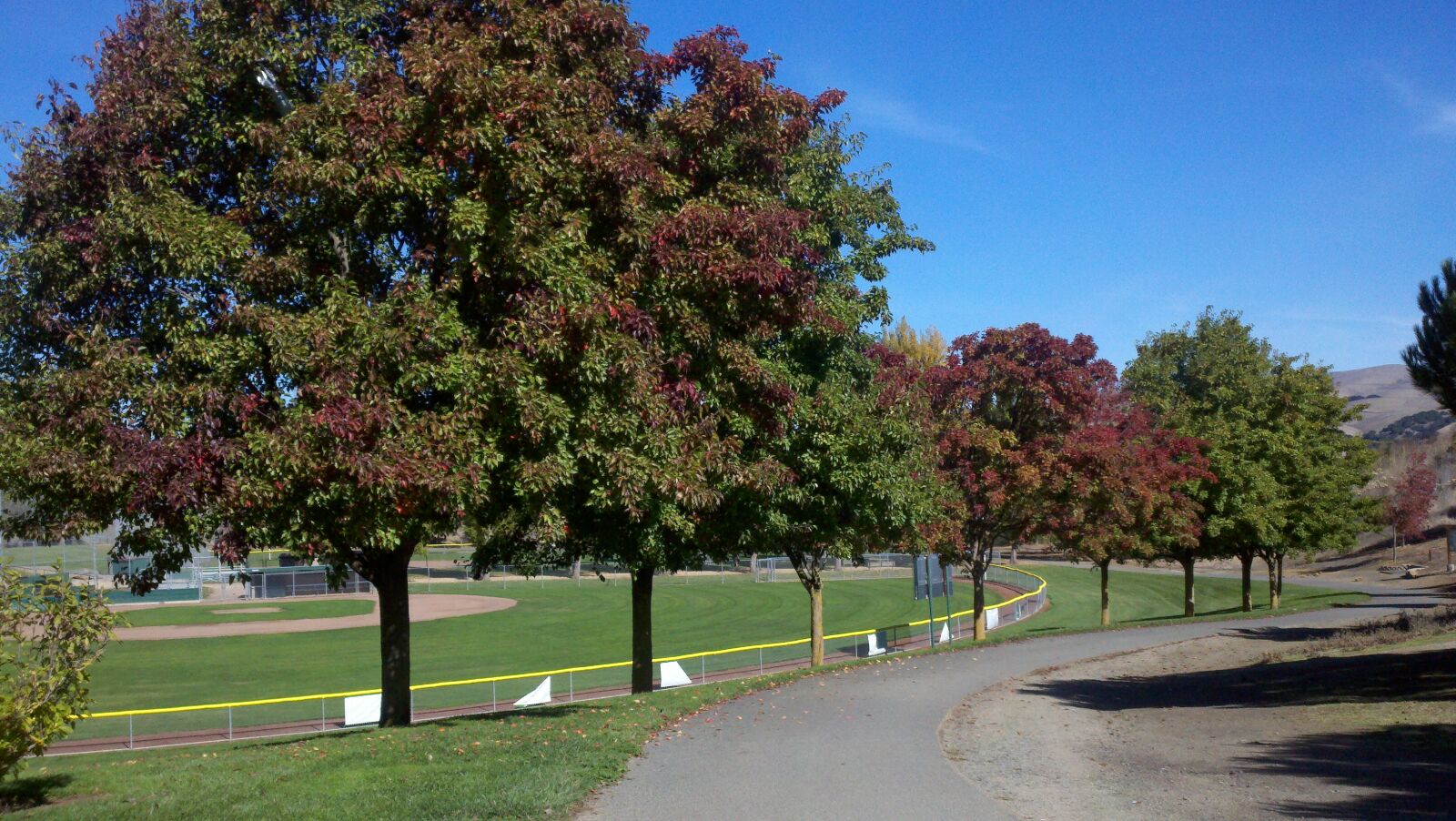 Motorola Droid X sample photo. Benicia, fall, park, path photography