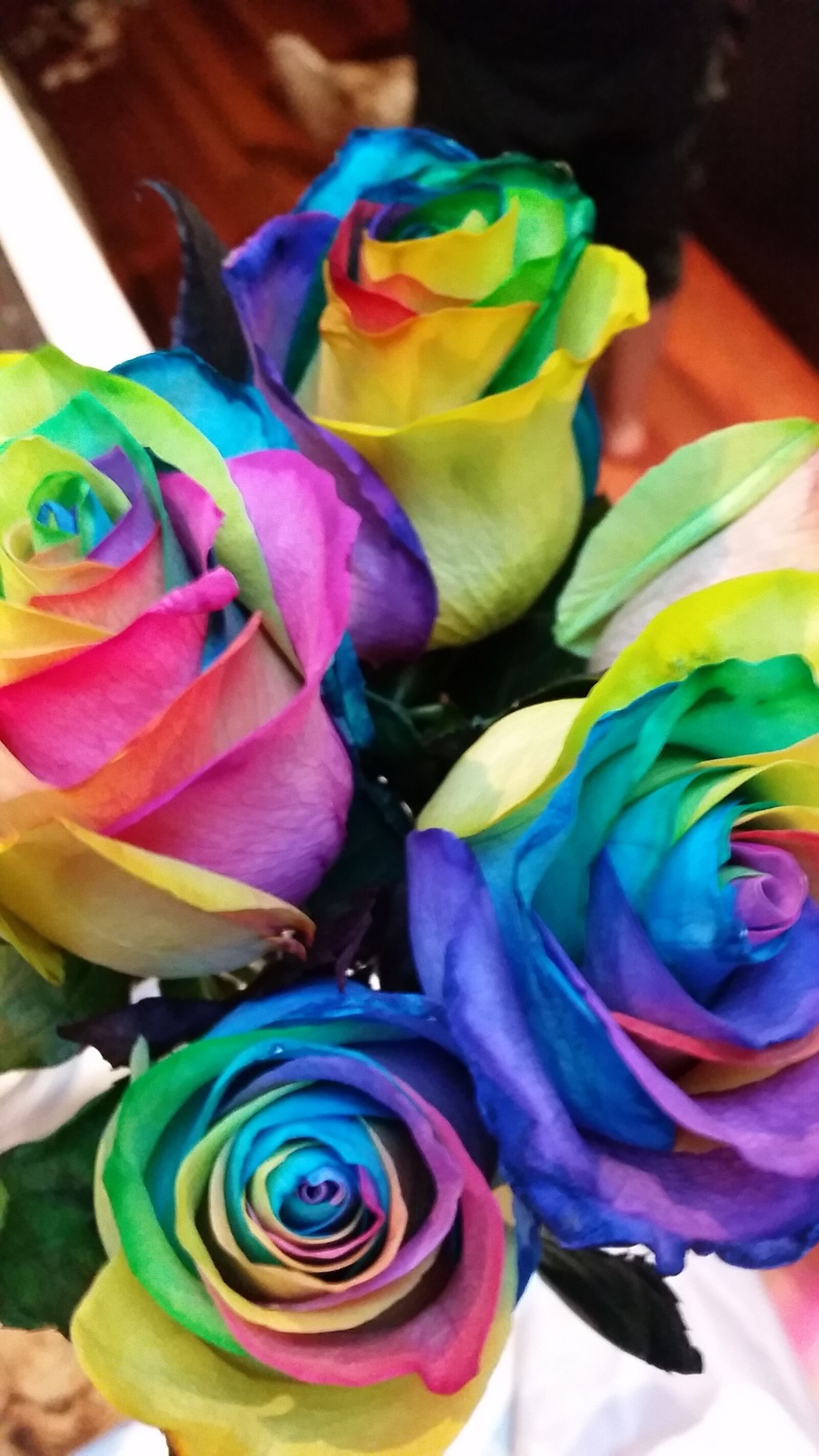 Samsung Galaxy S5 sample photo. Colourful, flowers, colourful, roses photography