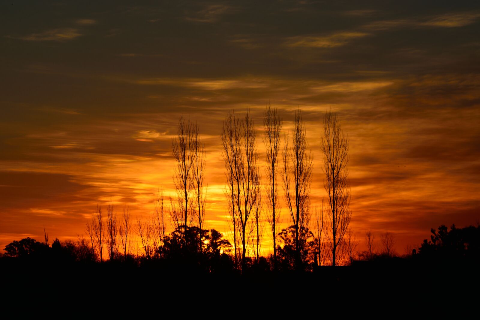 Nikon D5200 sample photo. Sunset, sun, light photography