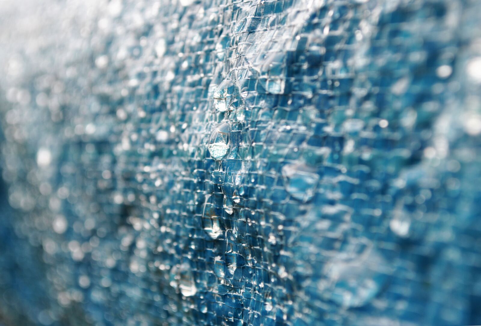 Nikon D3000 sample photo. Macro, blue, drop photography