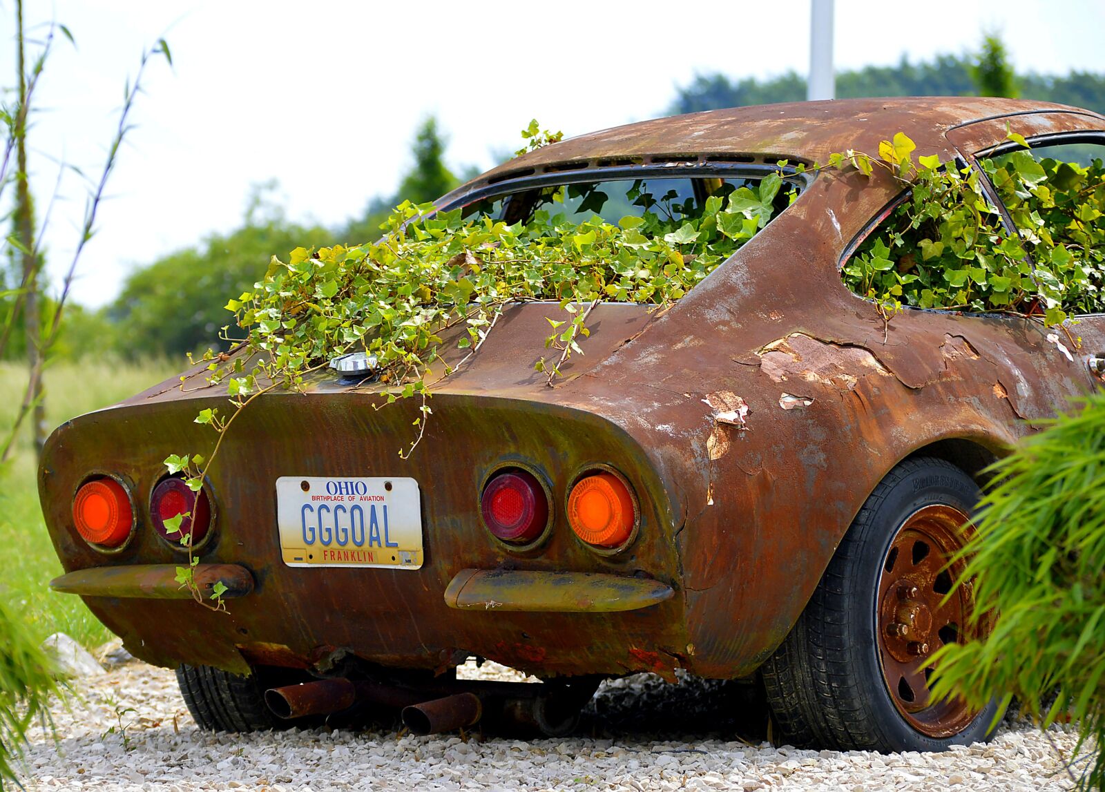 Nikon D3200 sample photo. Rust, photo, art photography