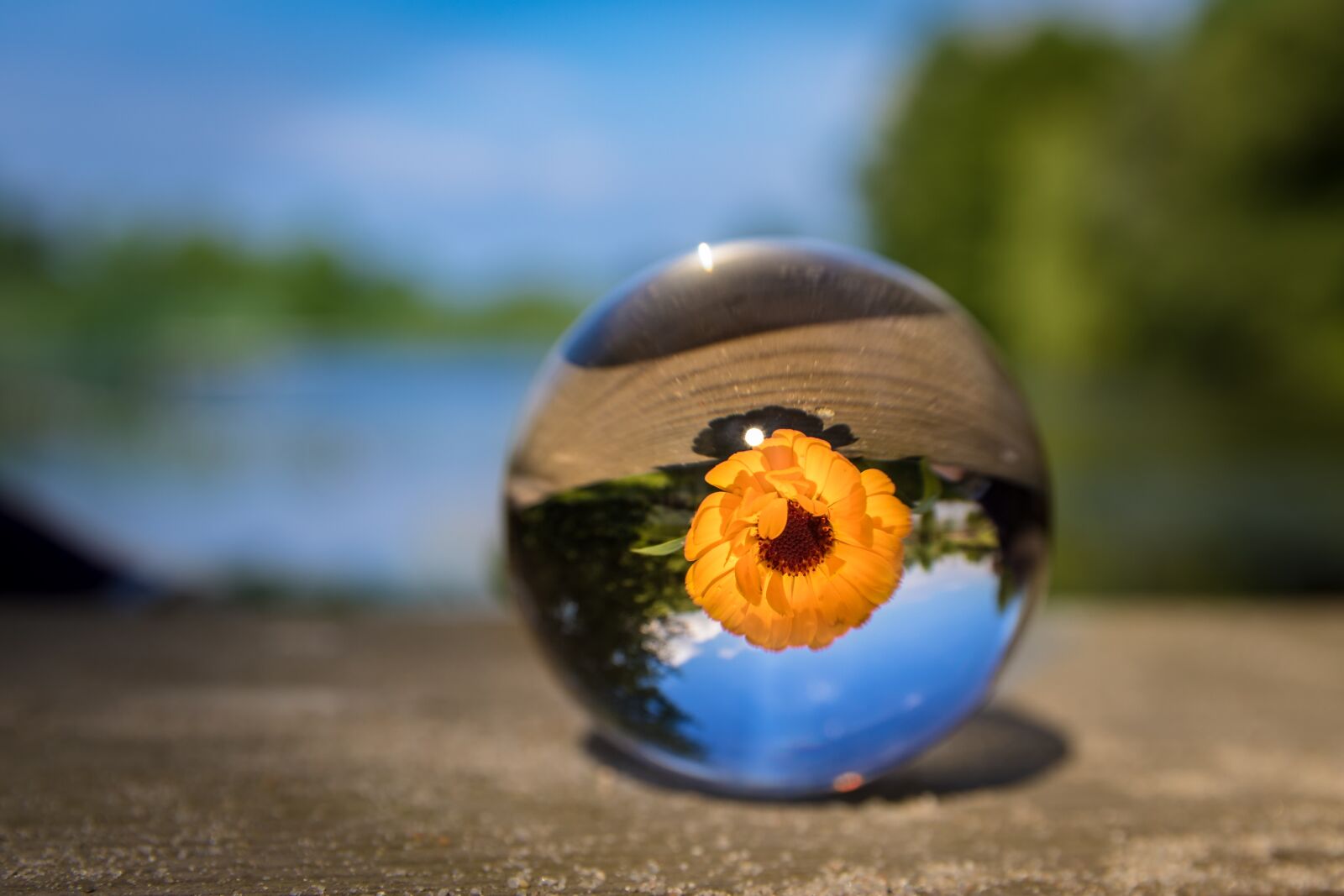 Canon EOS 7D Mark II sample photo. Glass ball, nature, clear photography